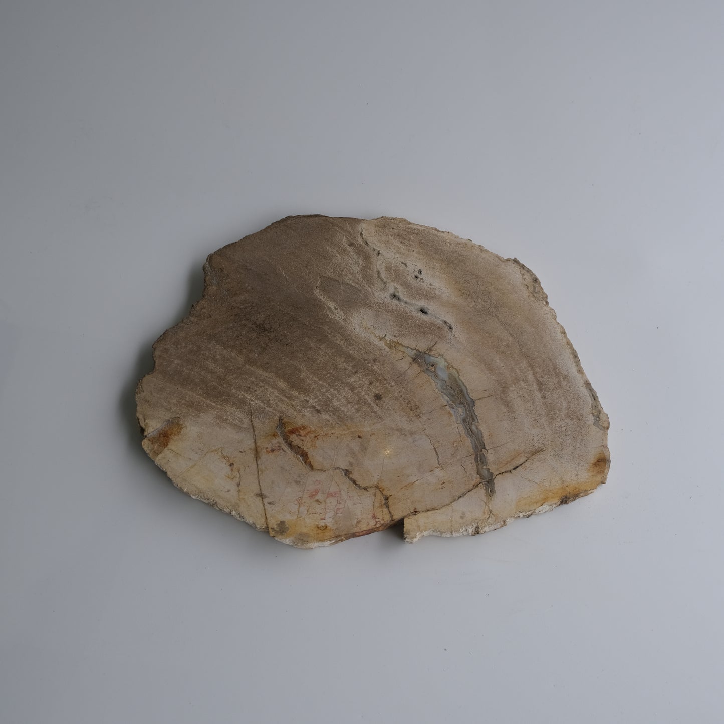 Wood Plate #022