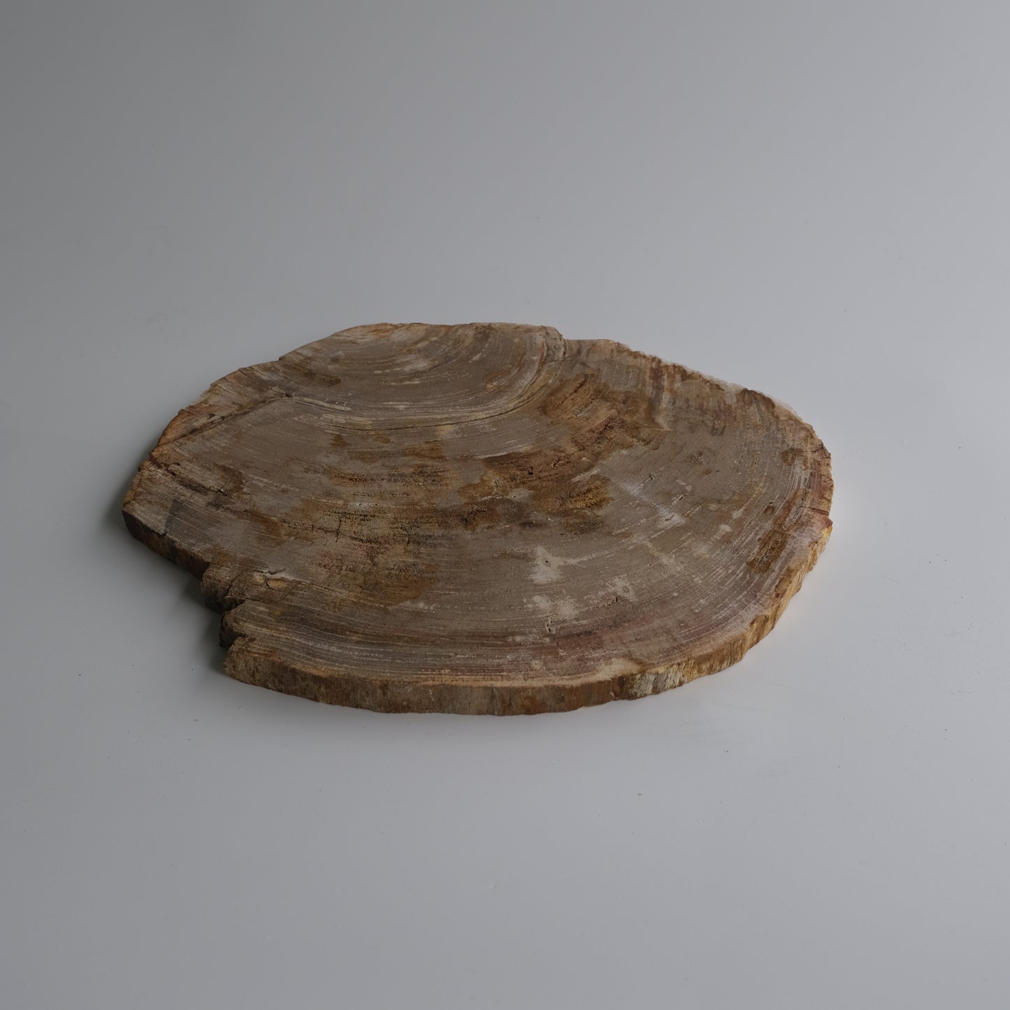 Wood Plate #025