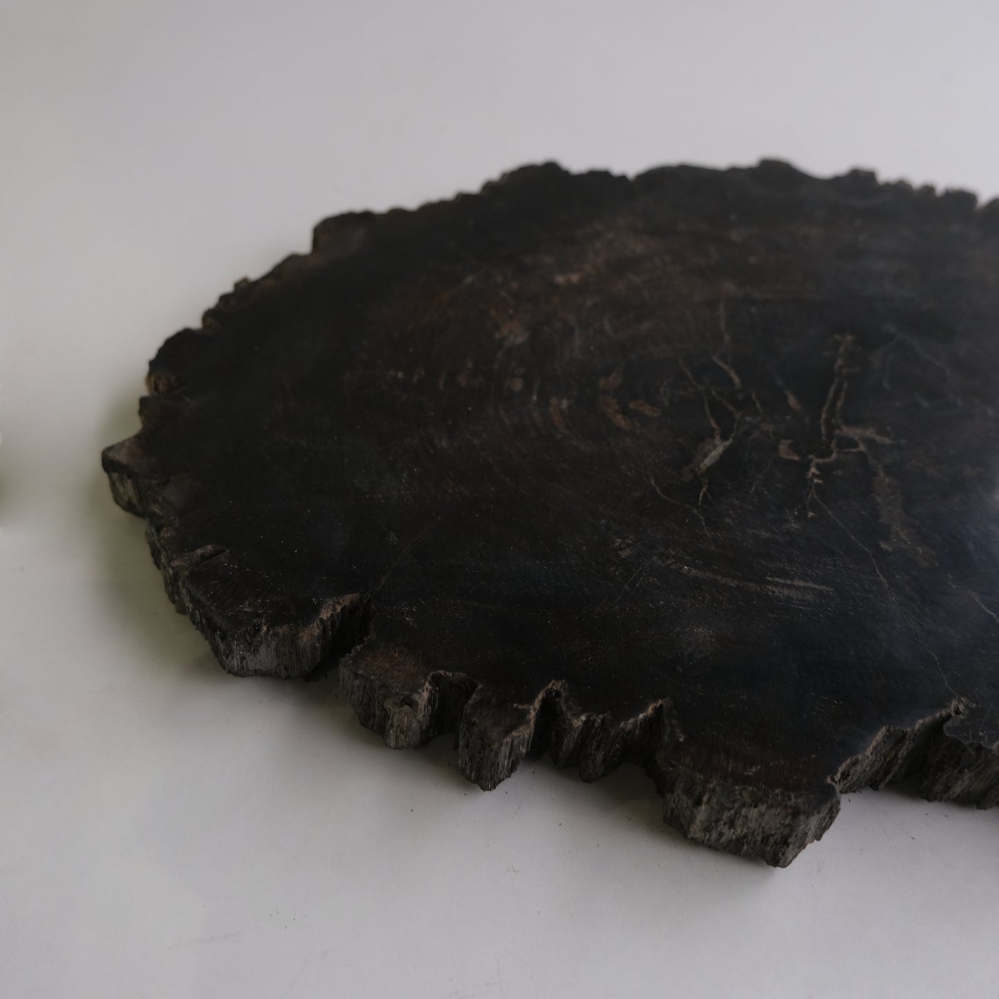Wood Plate #016