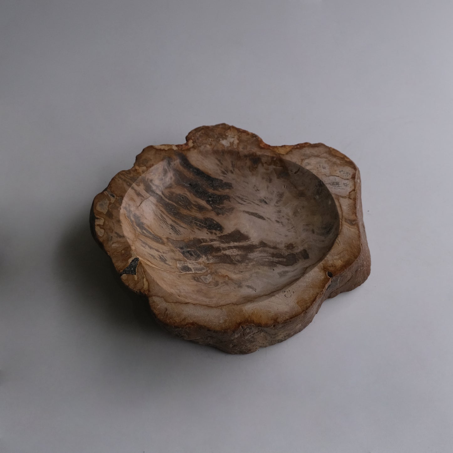 Accessory Tray #002