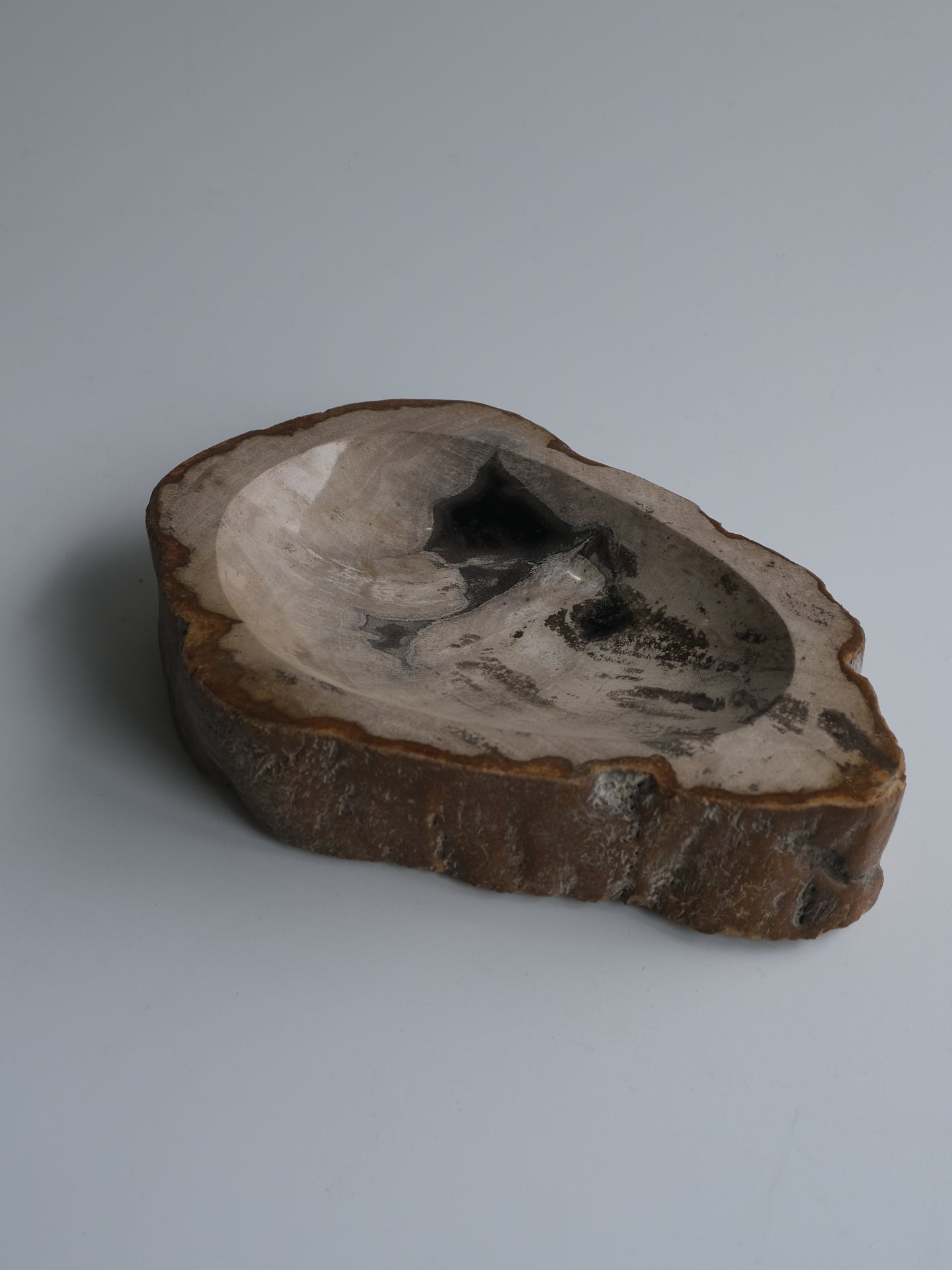 Accessory Tray #003