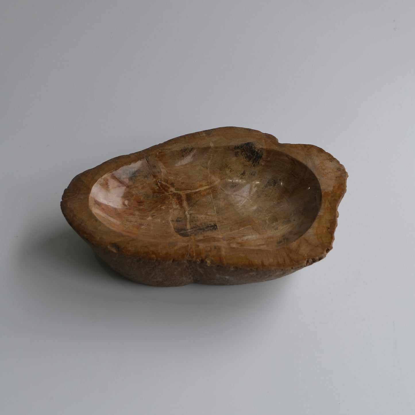 Accessory Tray #010
