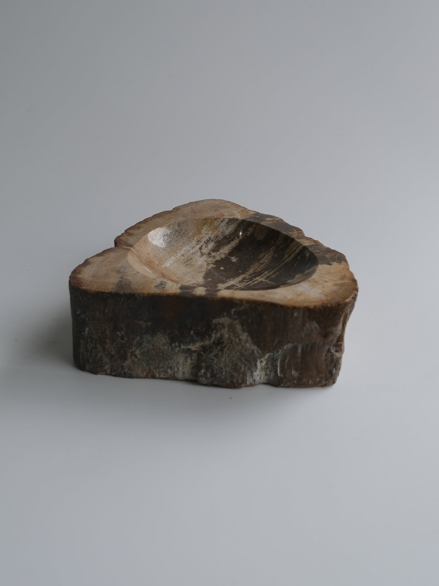 Accessory Tray #026