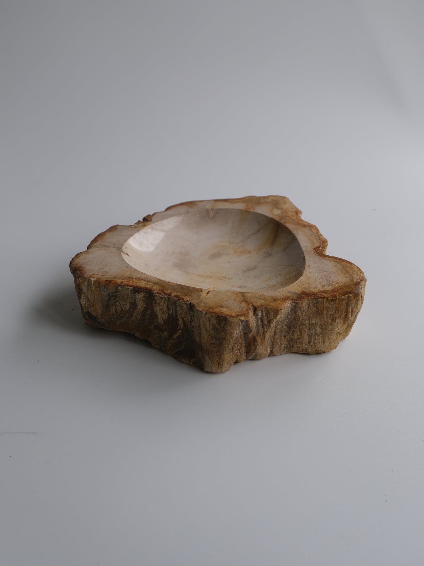 accessory tray #038
