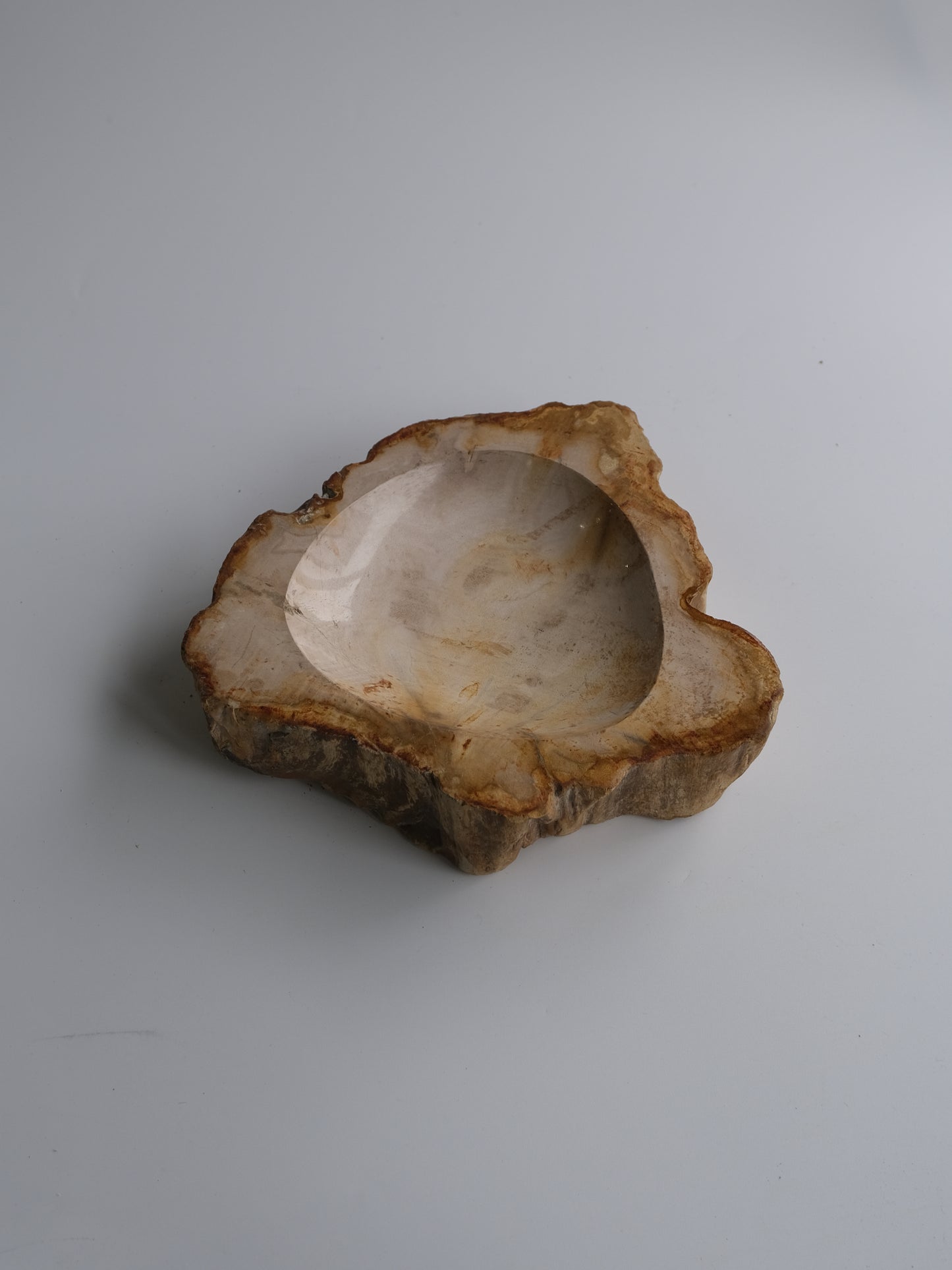 accessory tray #038