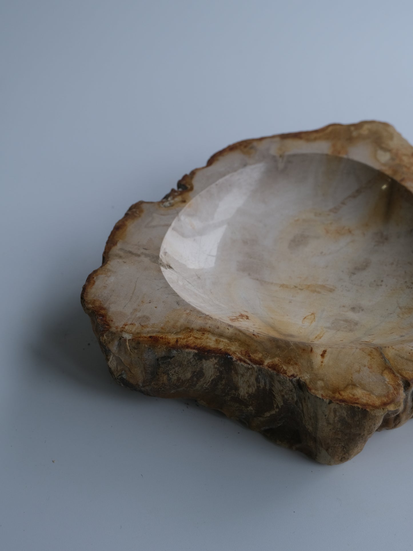 accessory tray #038