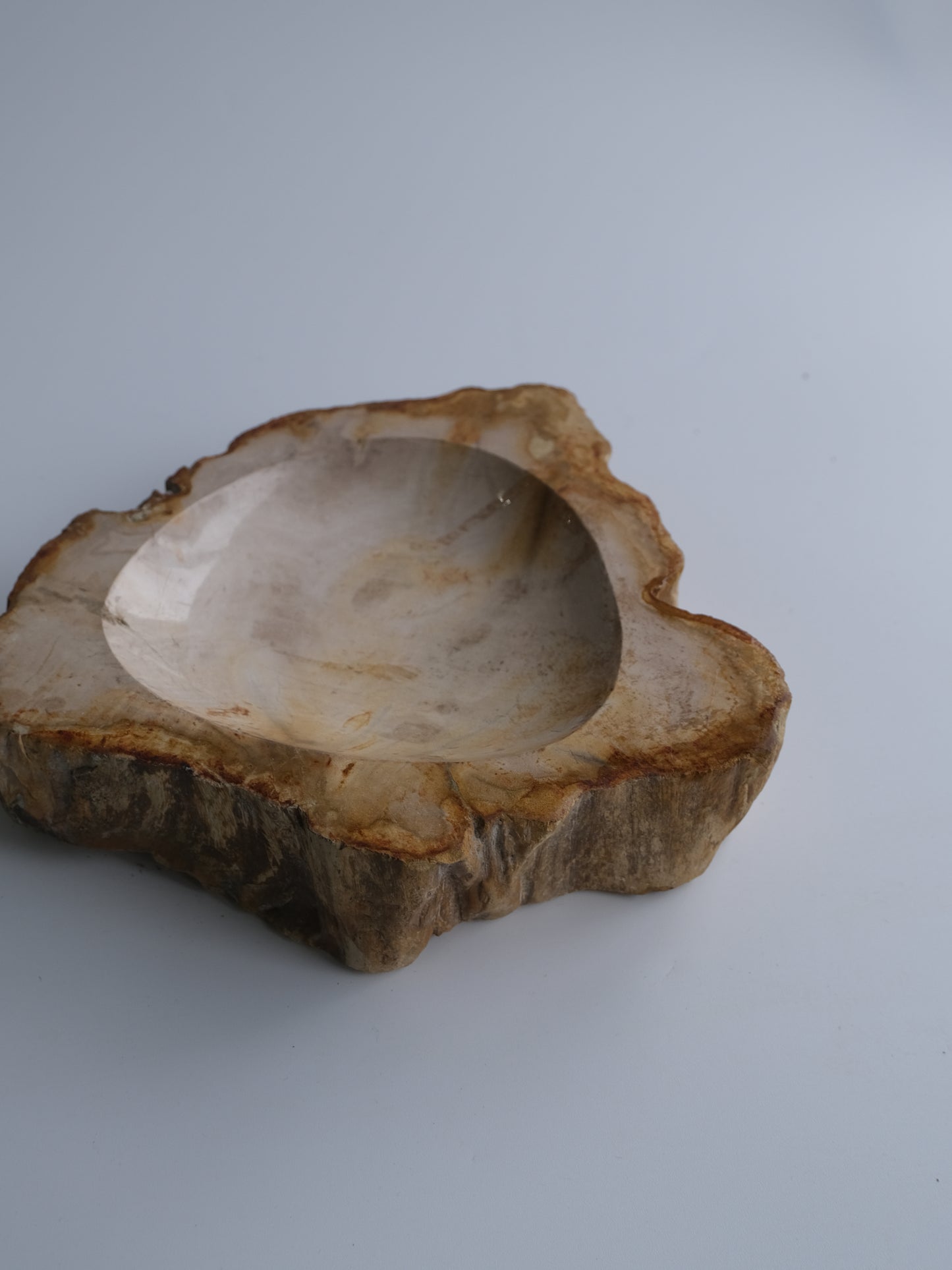 accessory tray #038