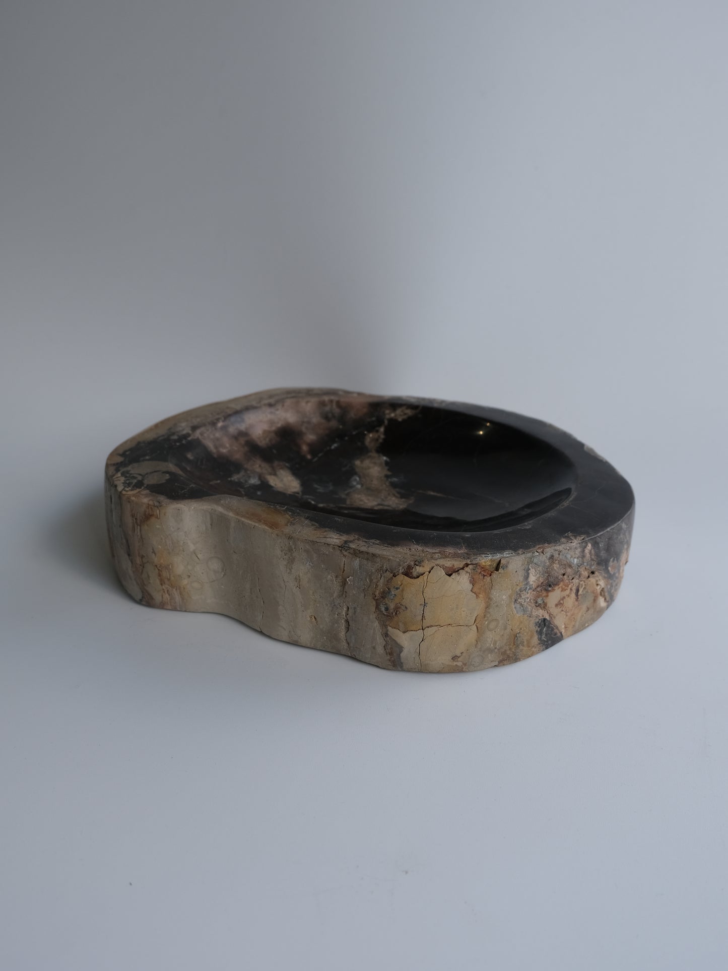Accessory Tray #097