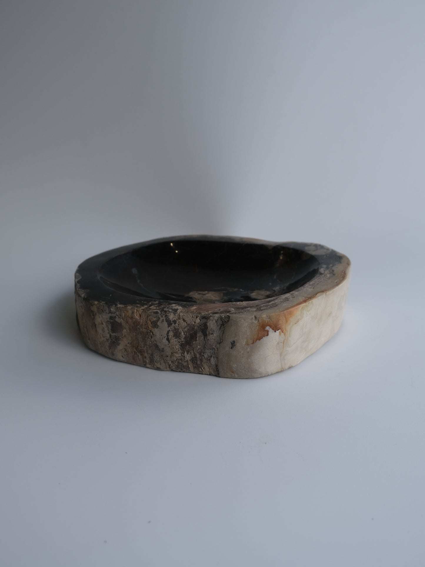 Accessory Tray #097