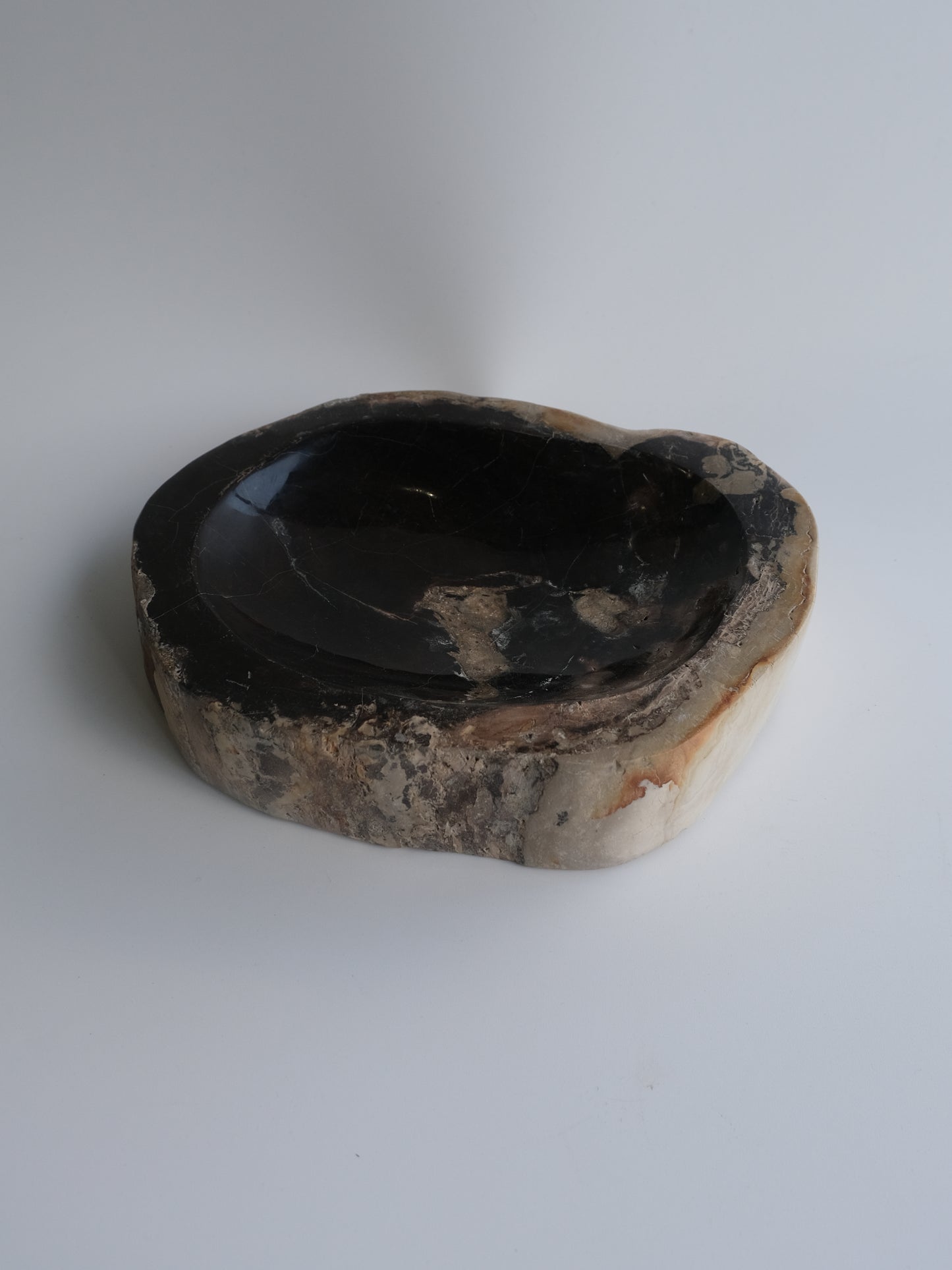 Accessory Tray #097