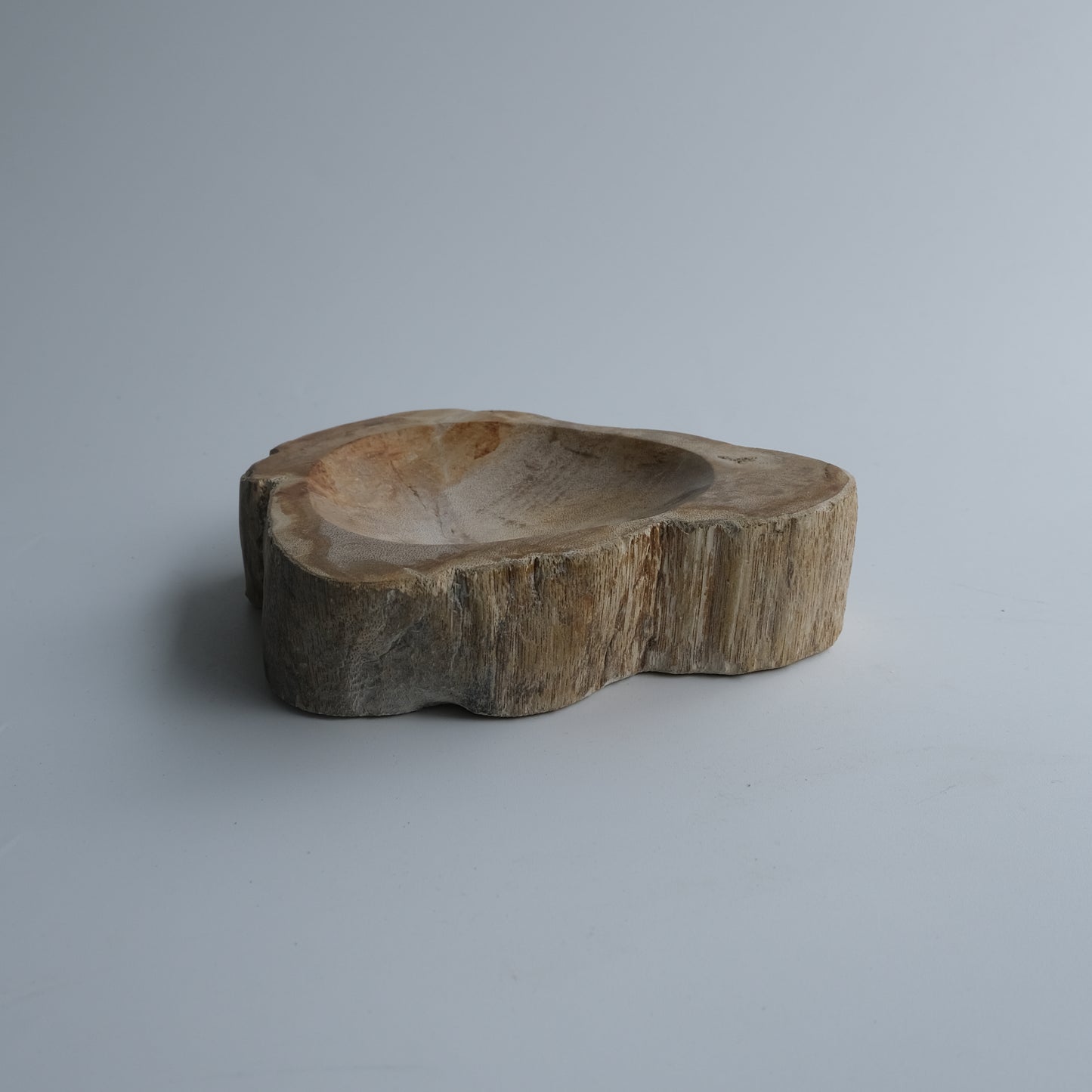 Accessory Tray #003
