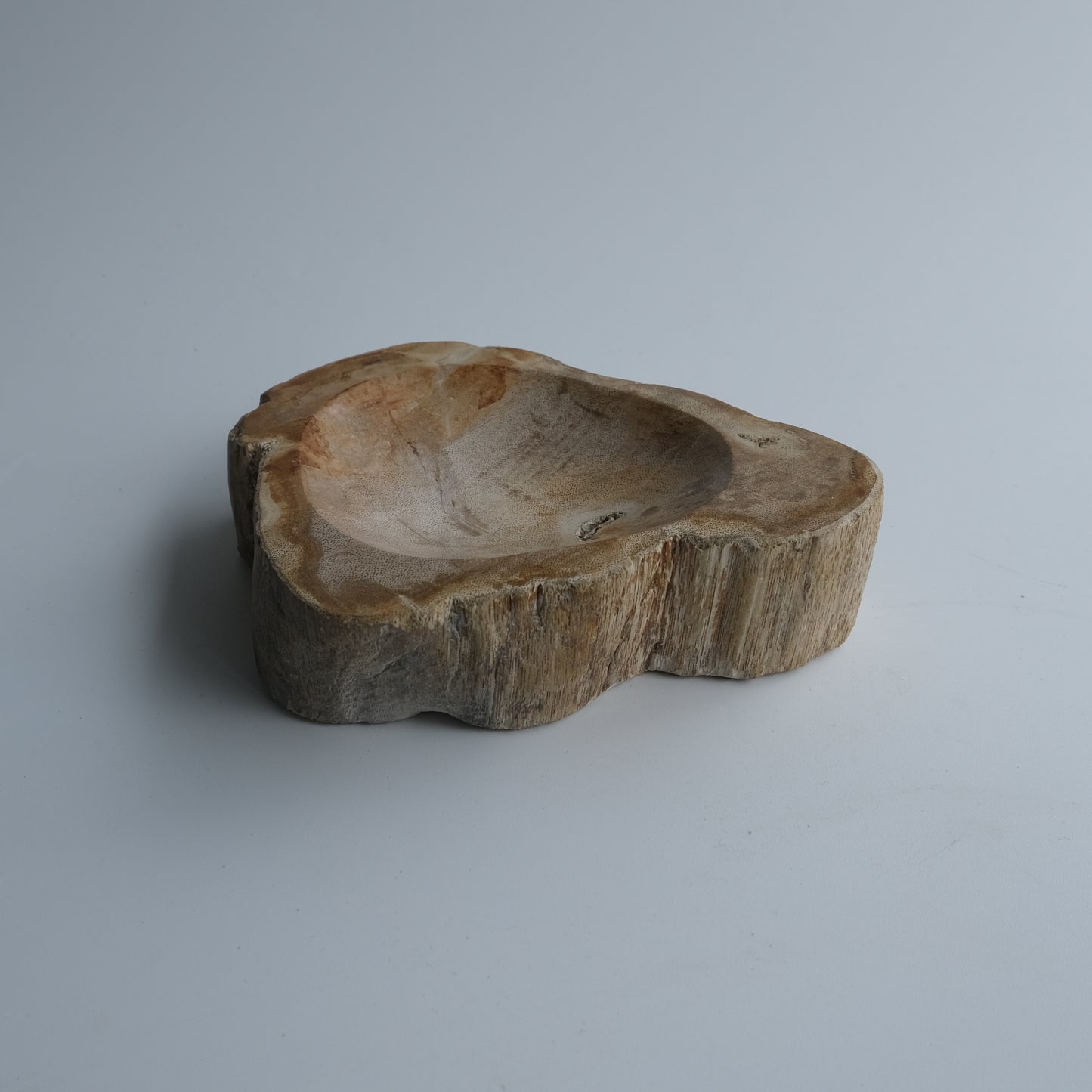 Accessory Tray #003