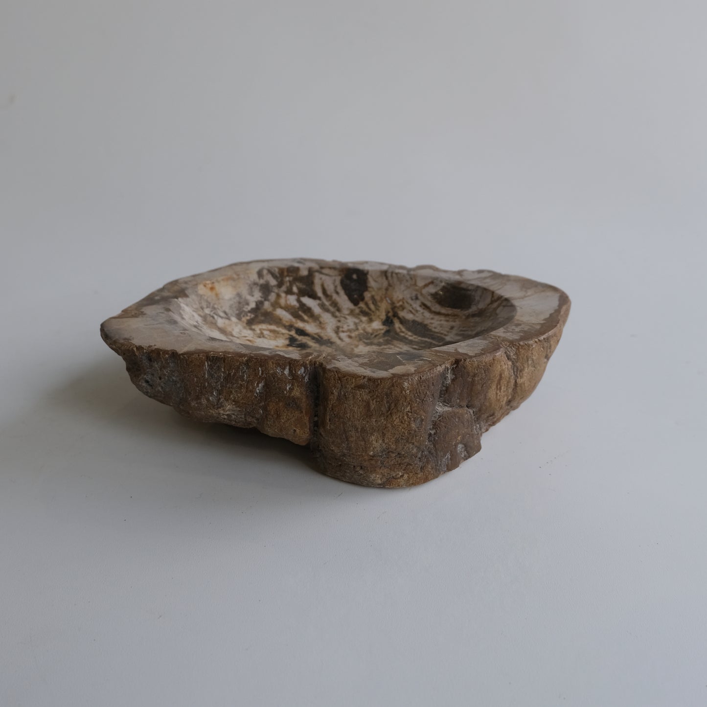 Accessory Tray #025