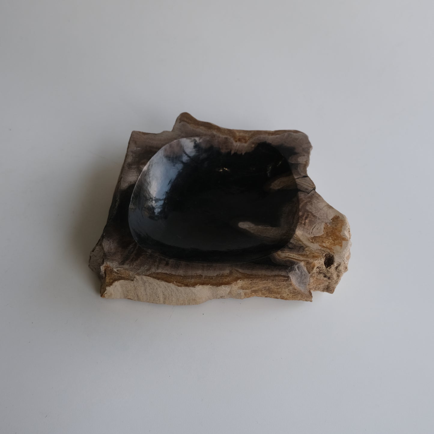 Accessory Tray #022
