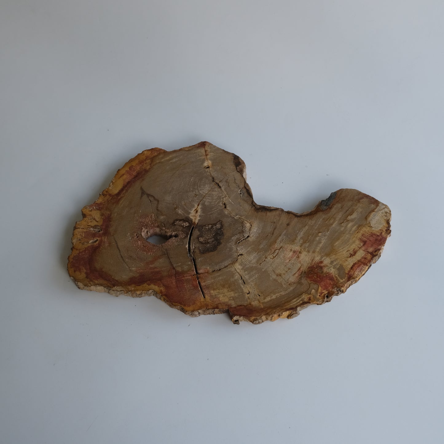Wood Plate #002