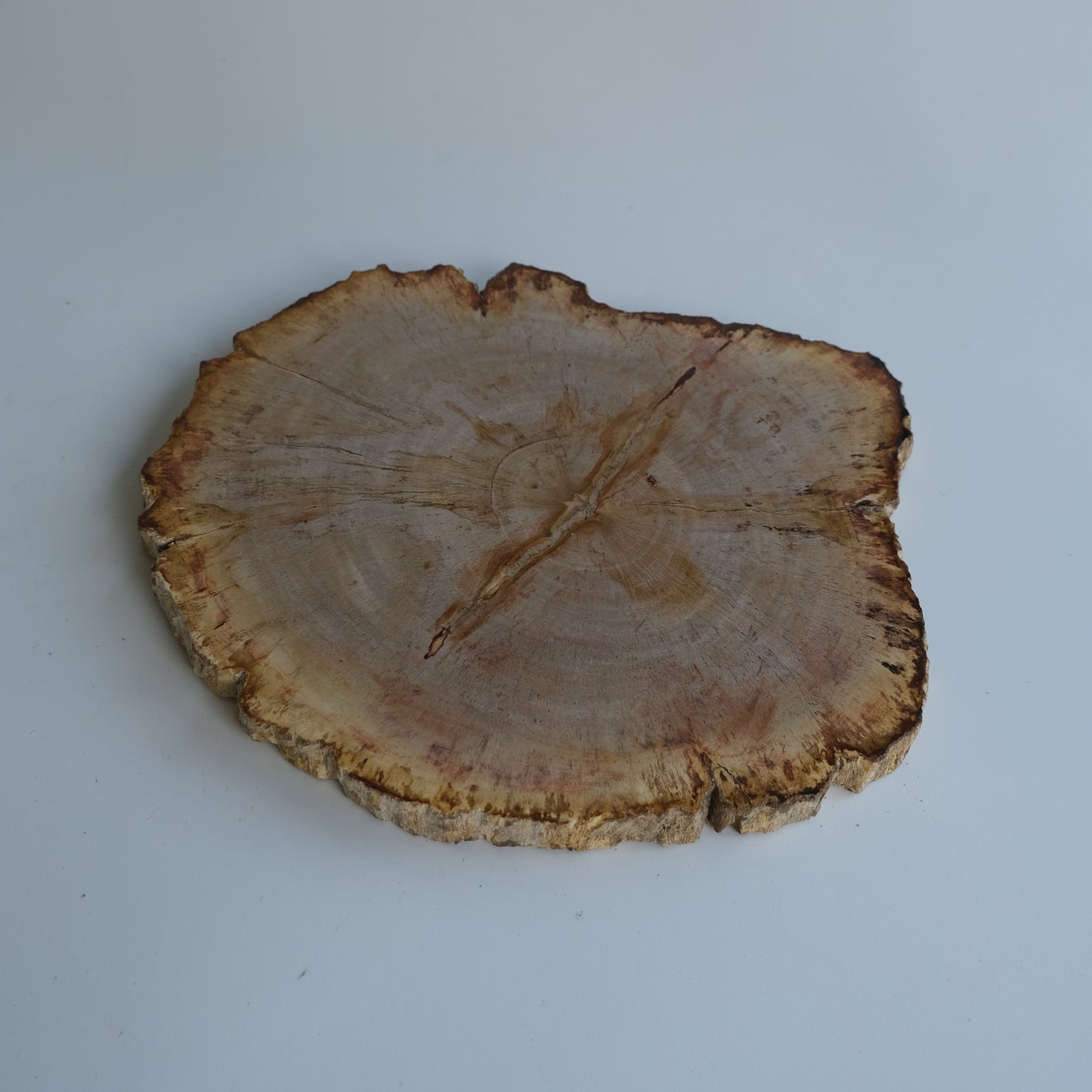 Wood Plate #010