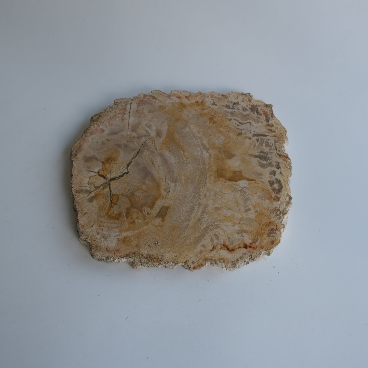 Wood Plate #011