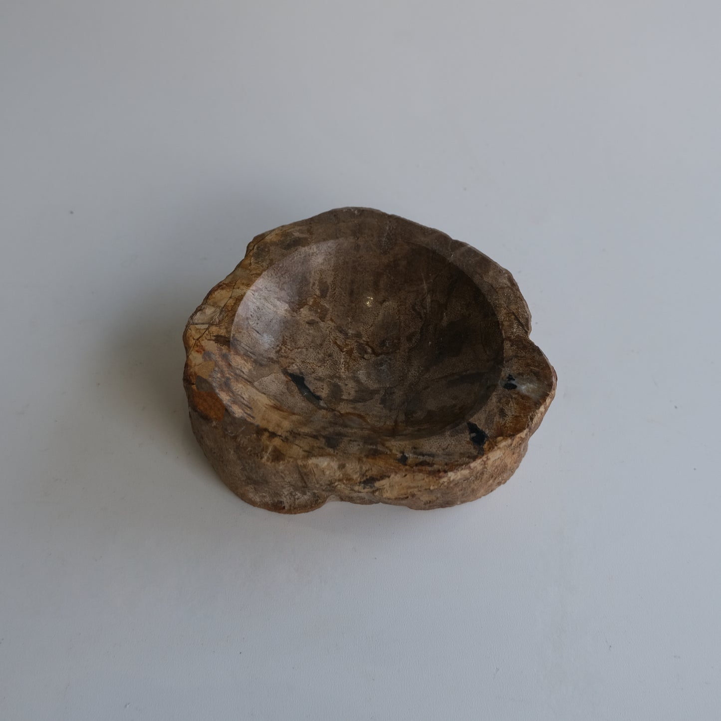 Accessory Tray #032