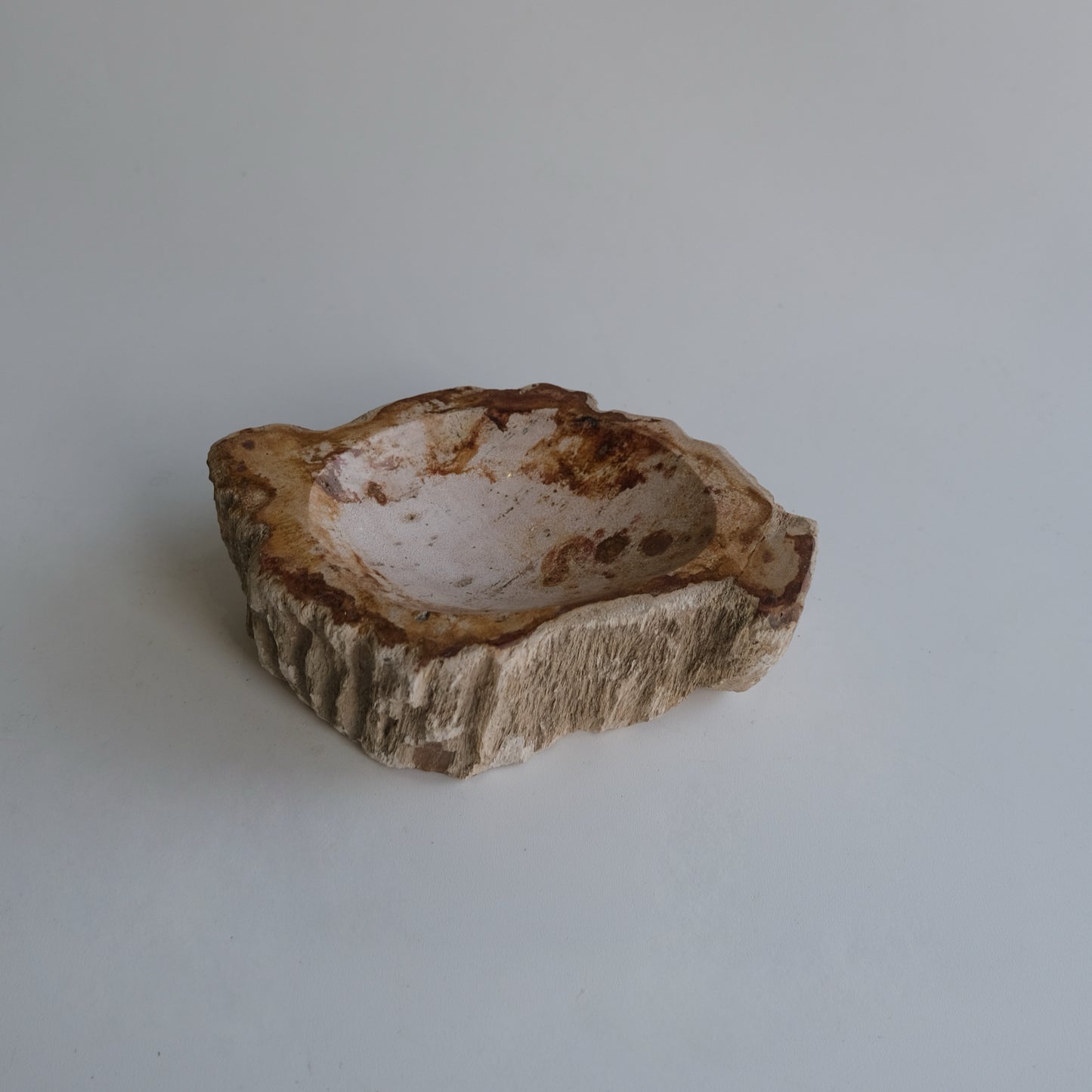 Accessory Tray #006