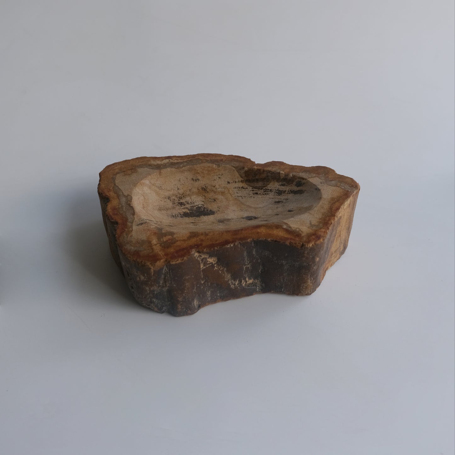 Accessory Tray #008