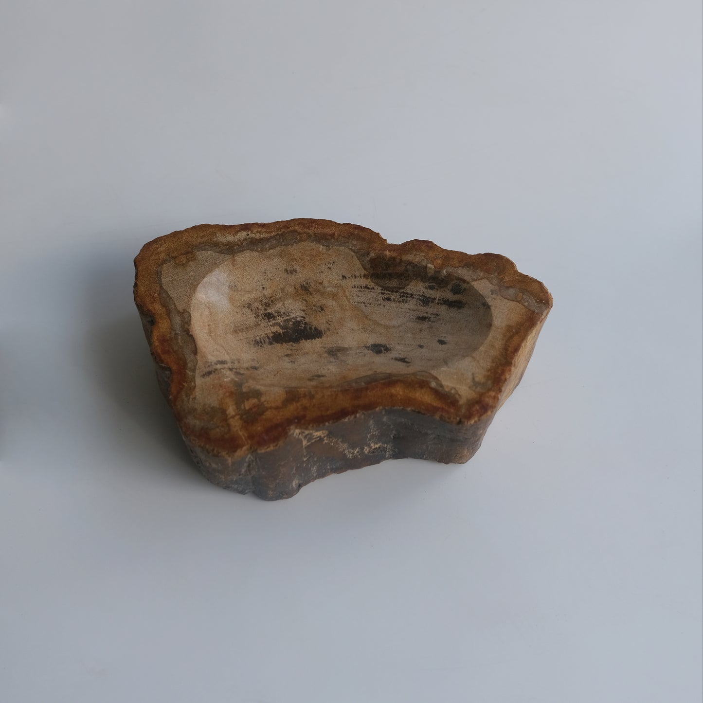 Accessory Tray #008
