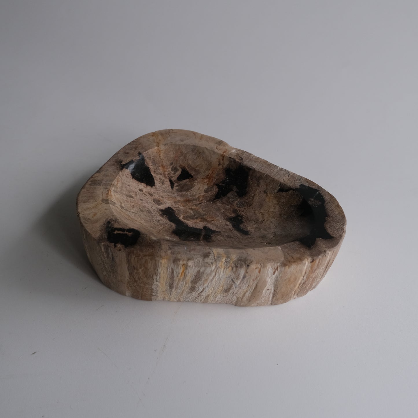 Accessory Tray #046