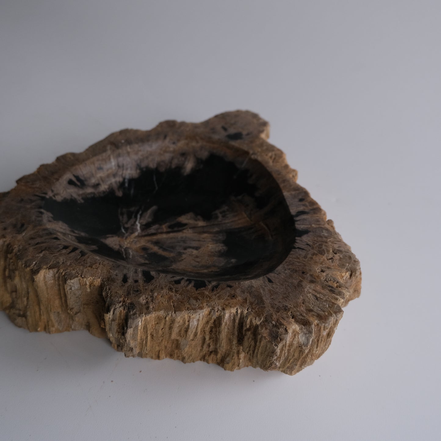 Accessory Tray #021