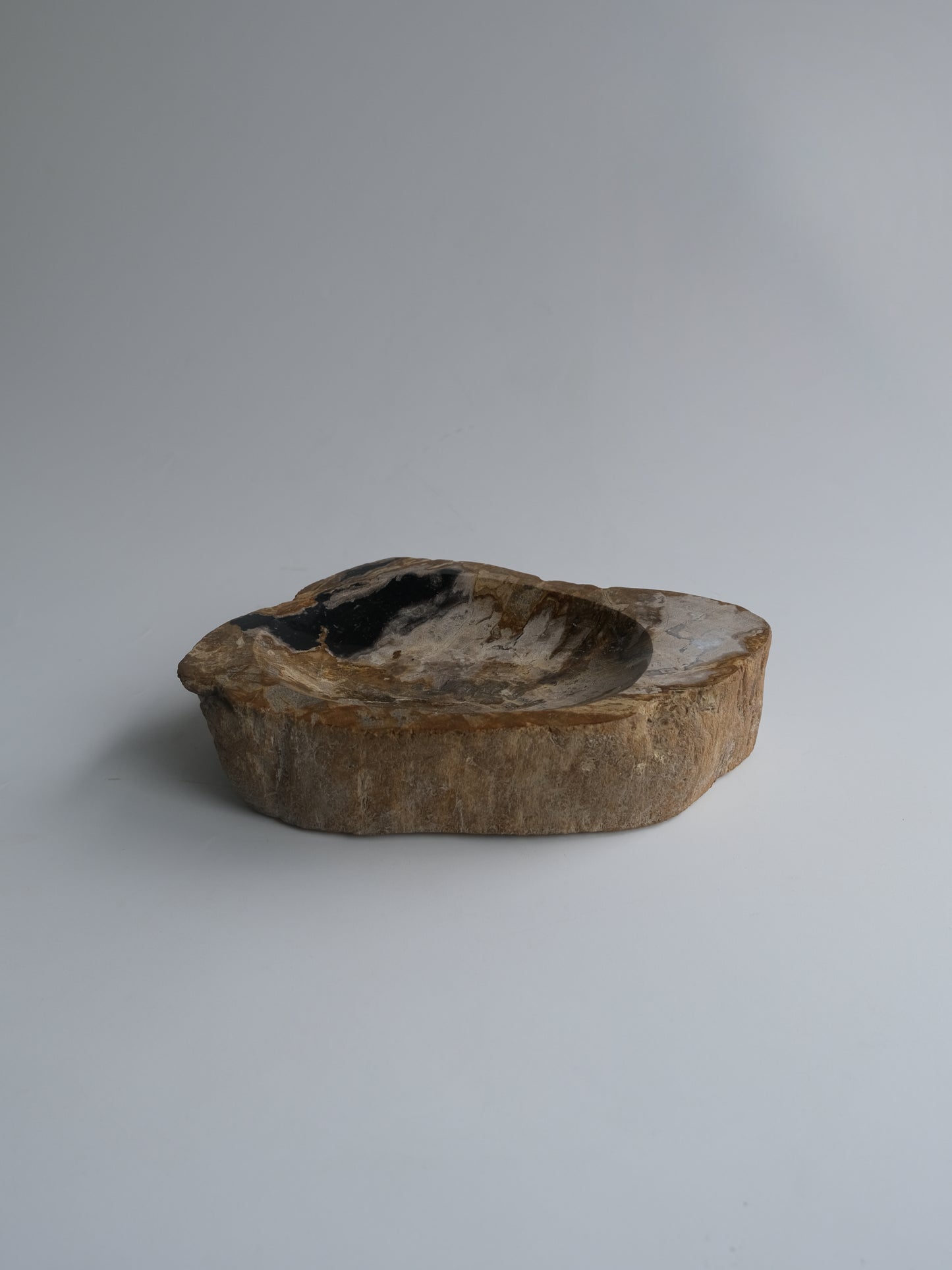 Accessory Tray #011