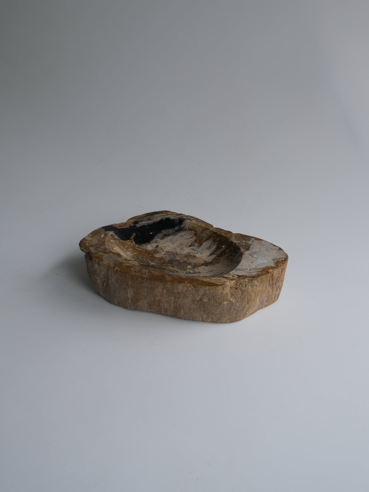 Accessory Tray #011