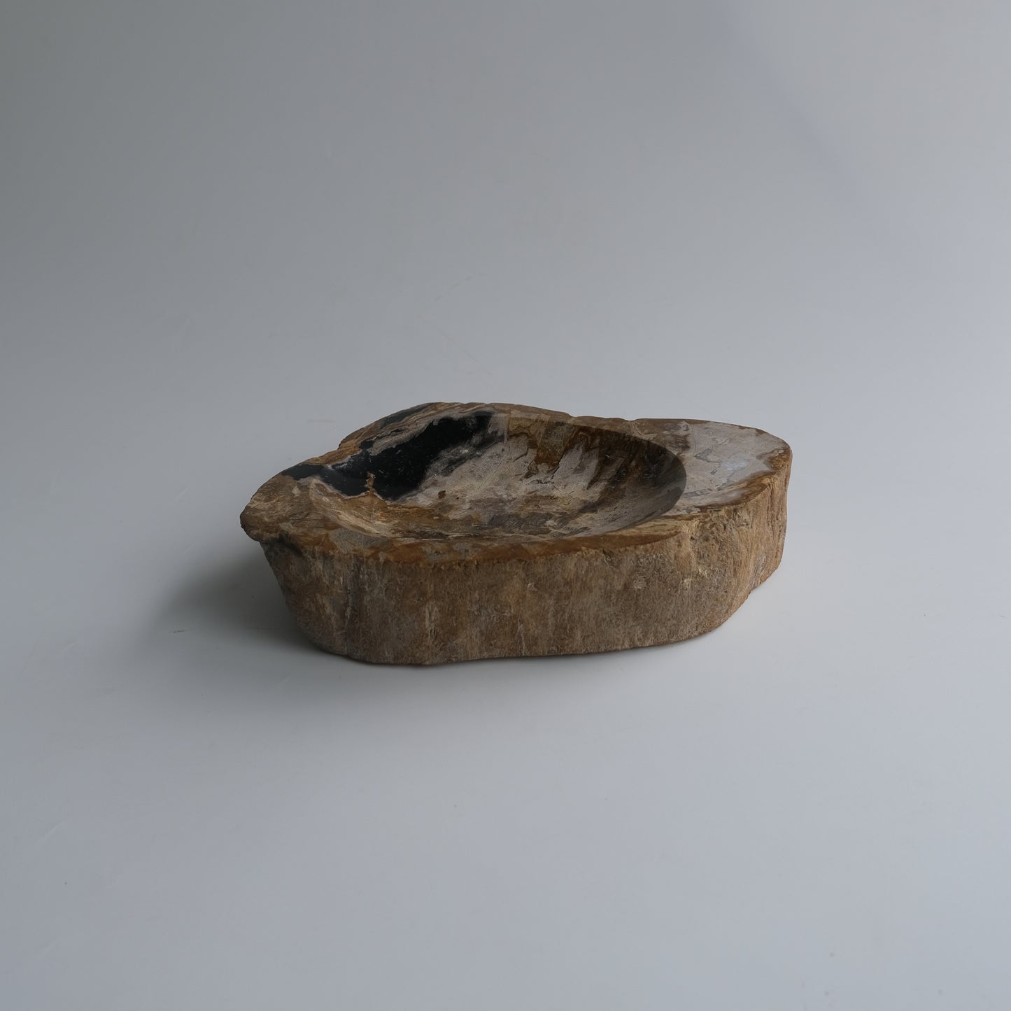 Accessory Tray #011