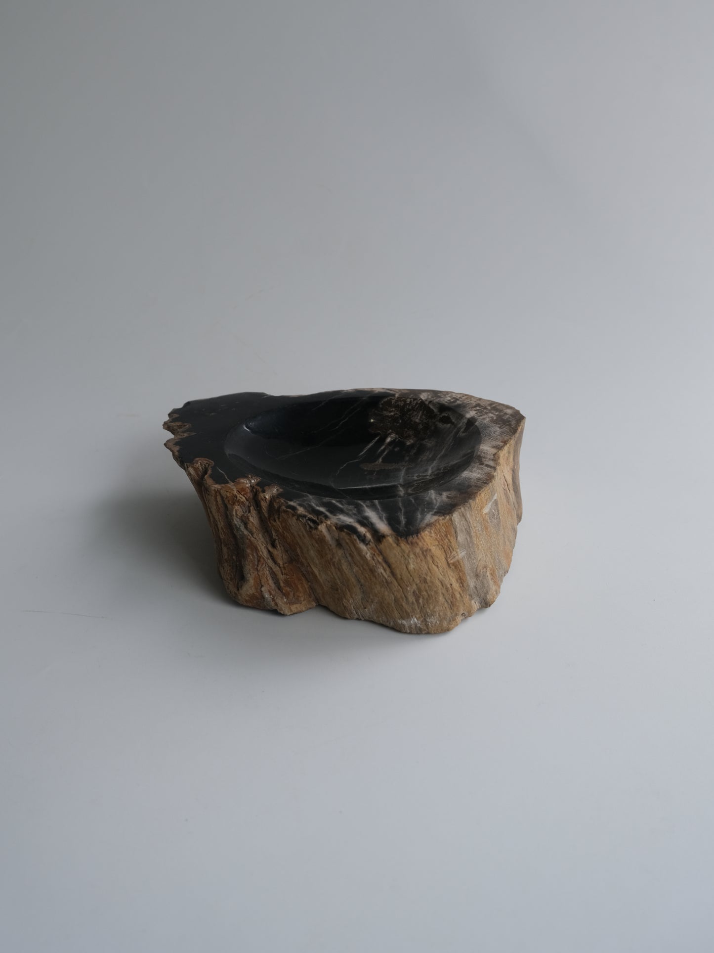 Accessory Tray #004