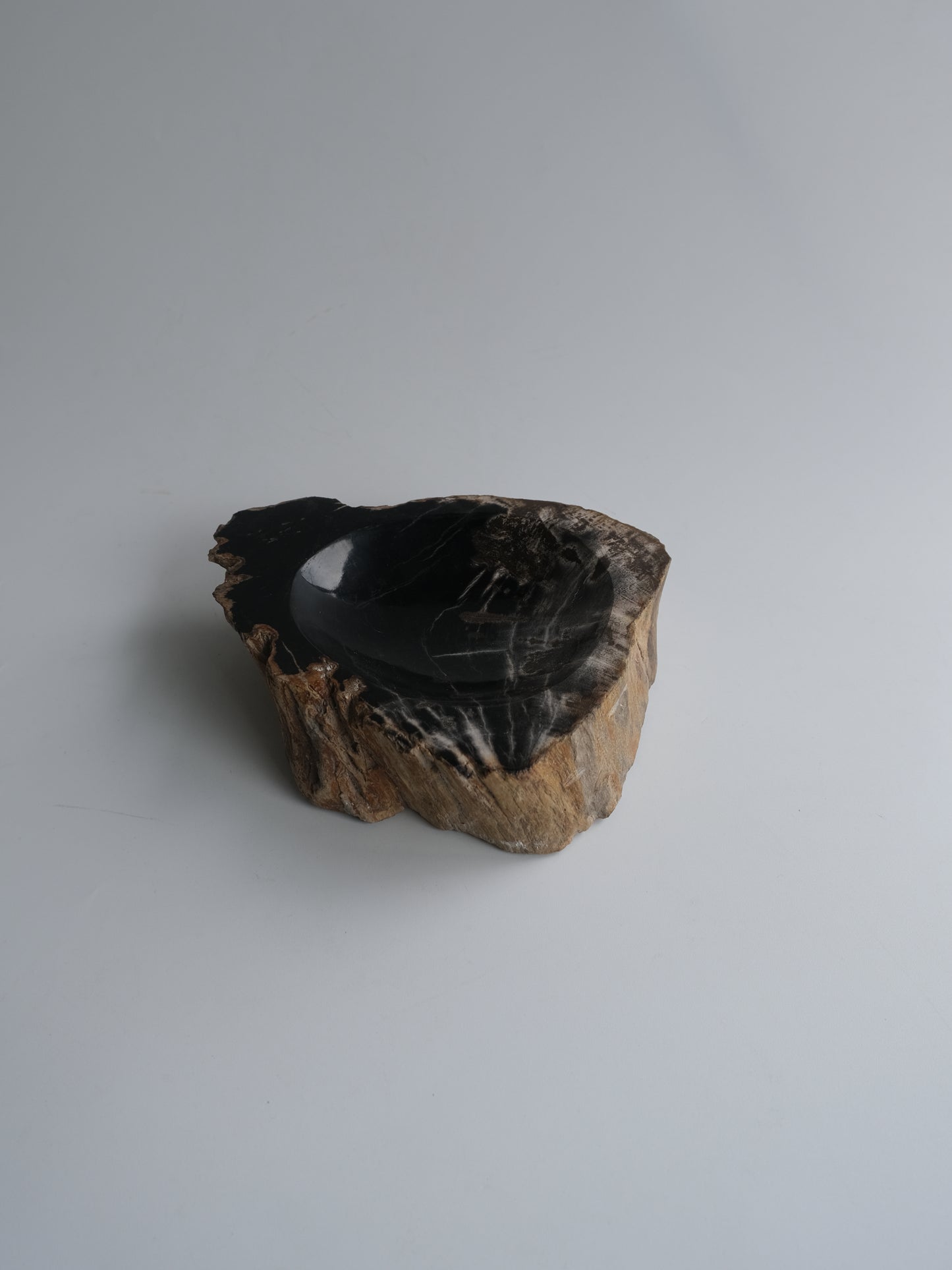 Accessory Tray #004
