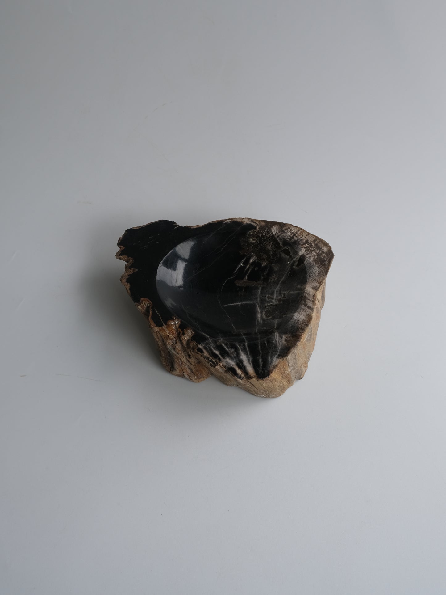 Accessory Tray #004