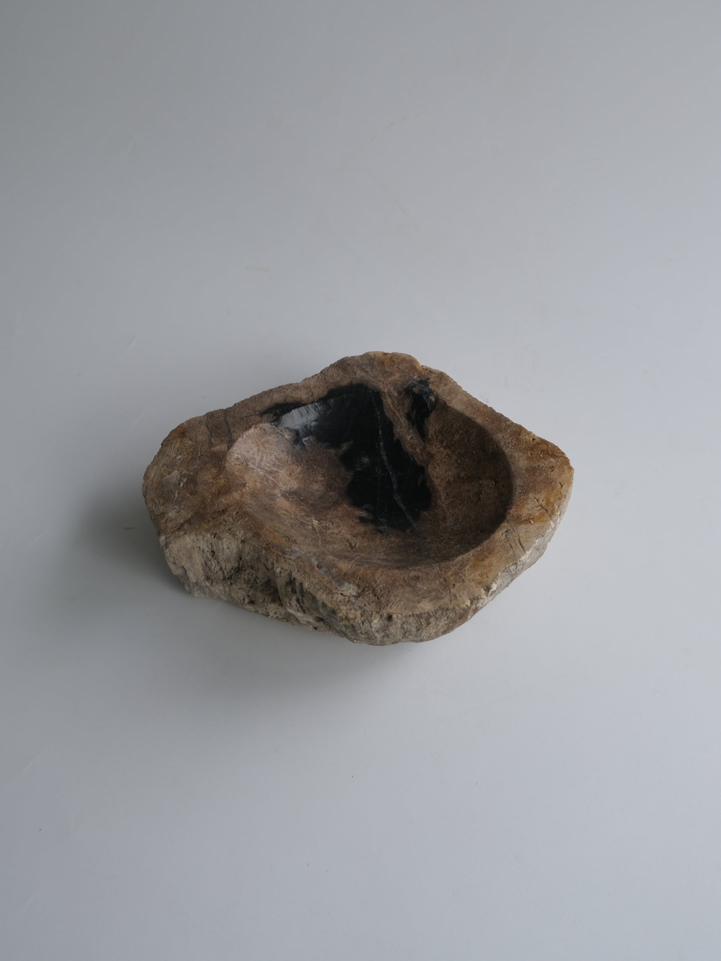 Accessory Tray #027