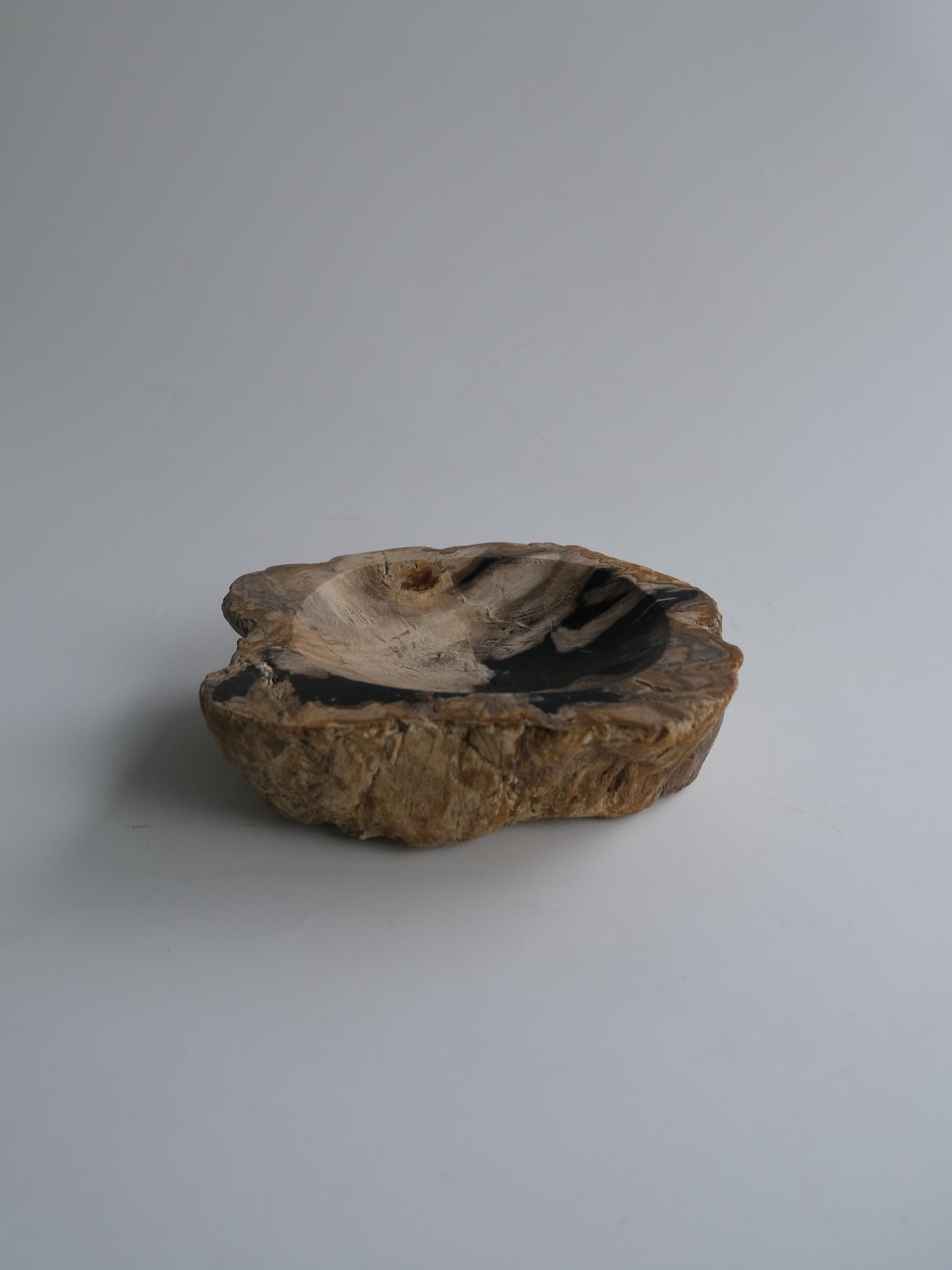 Accessory Tray #005