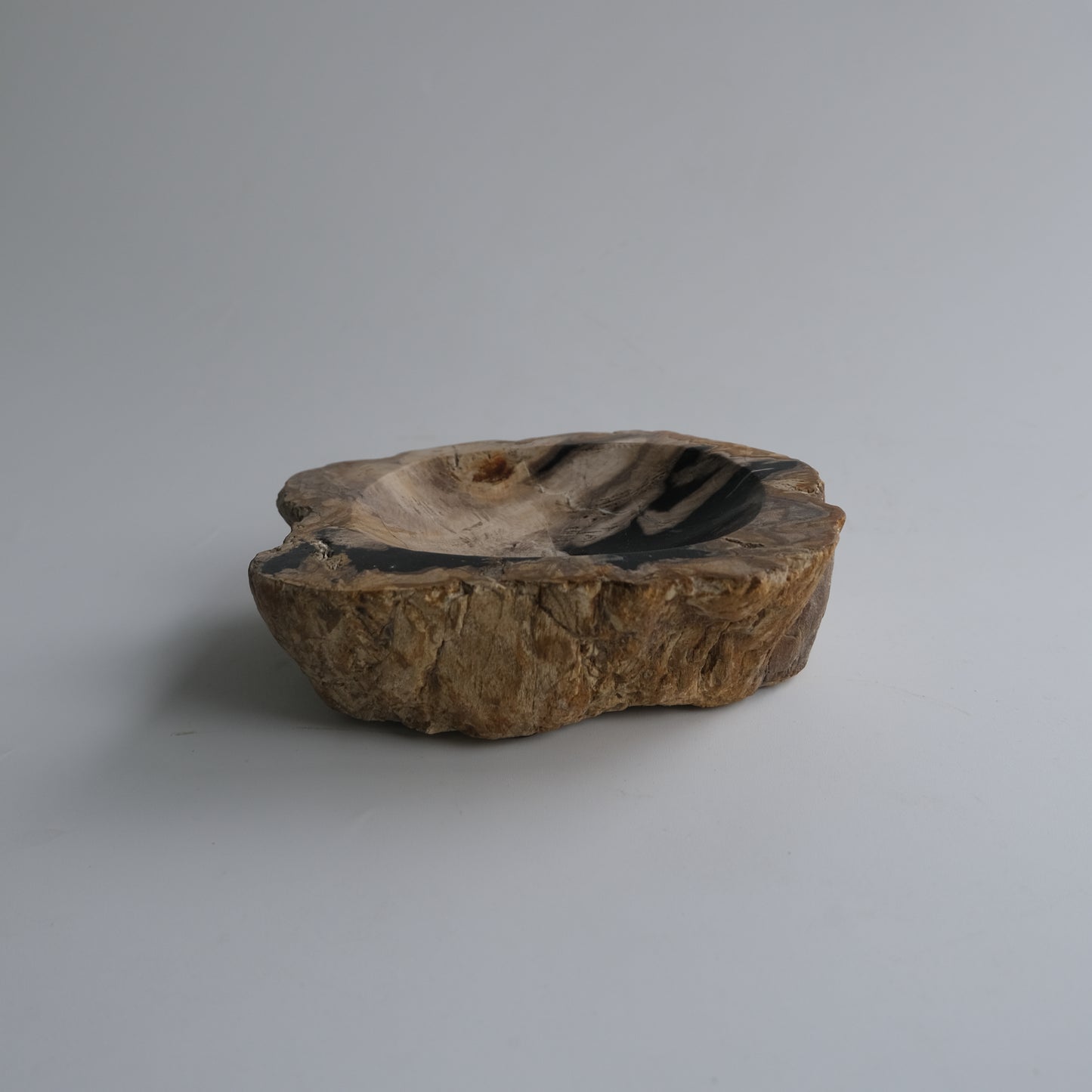 Accessory Tray #005