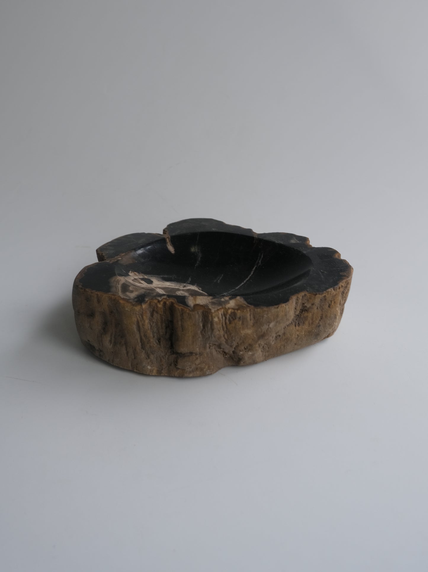Accessory Tray #021