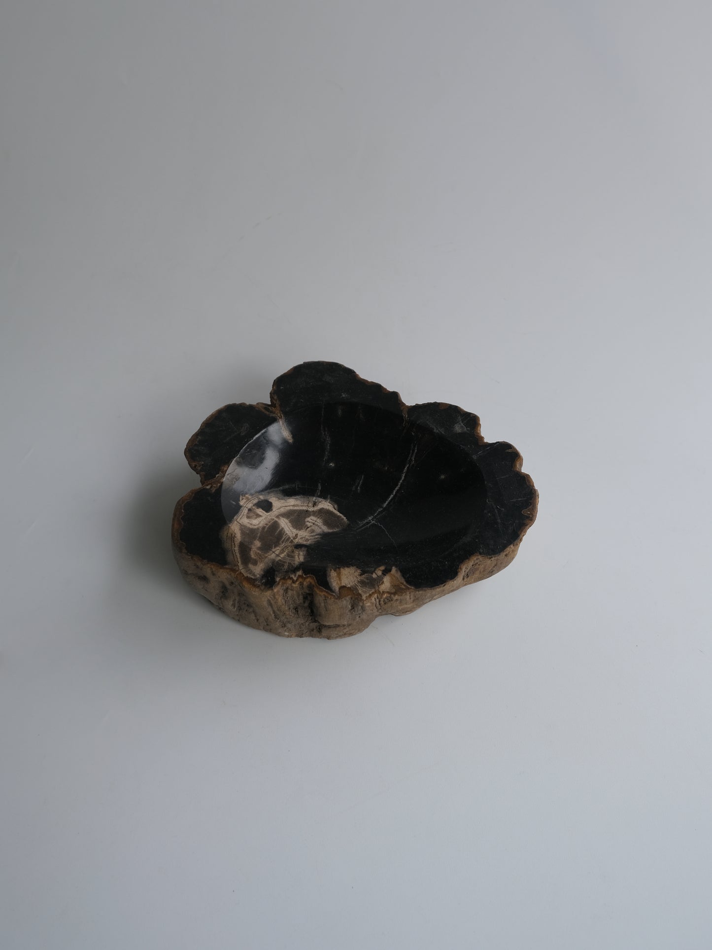 Accessory Tray #021