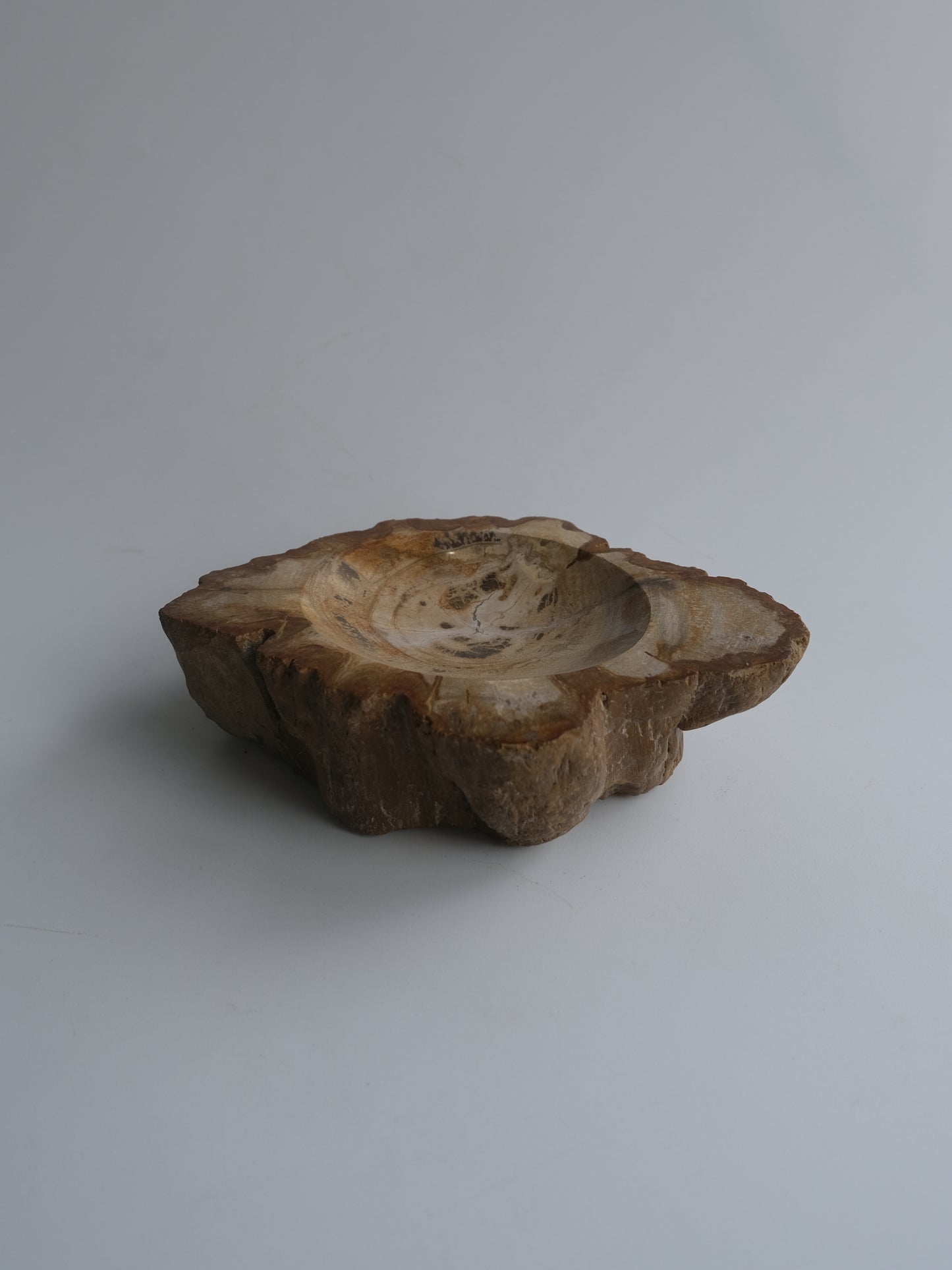 Accessory Tray #023
