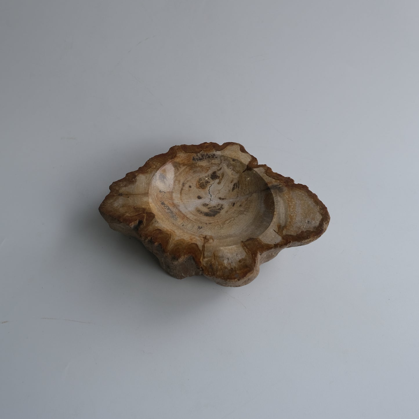Accessory Tray #023
