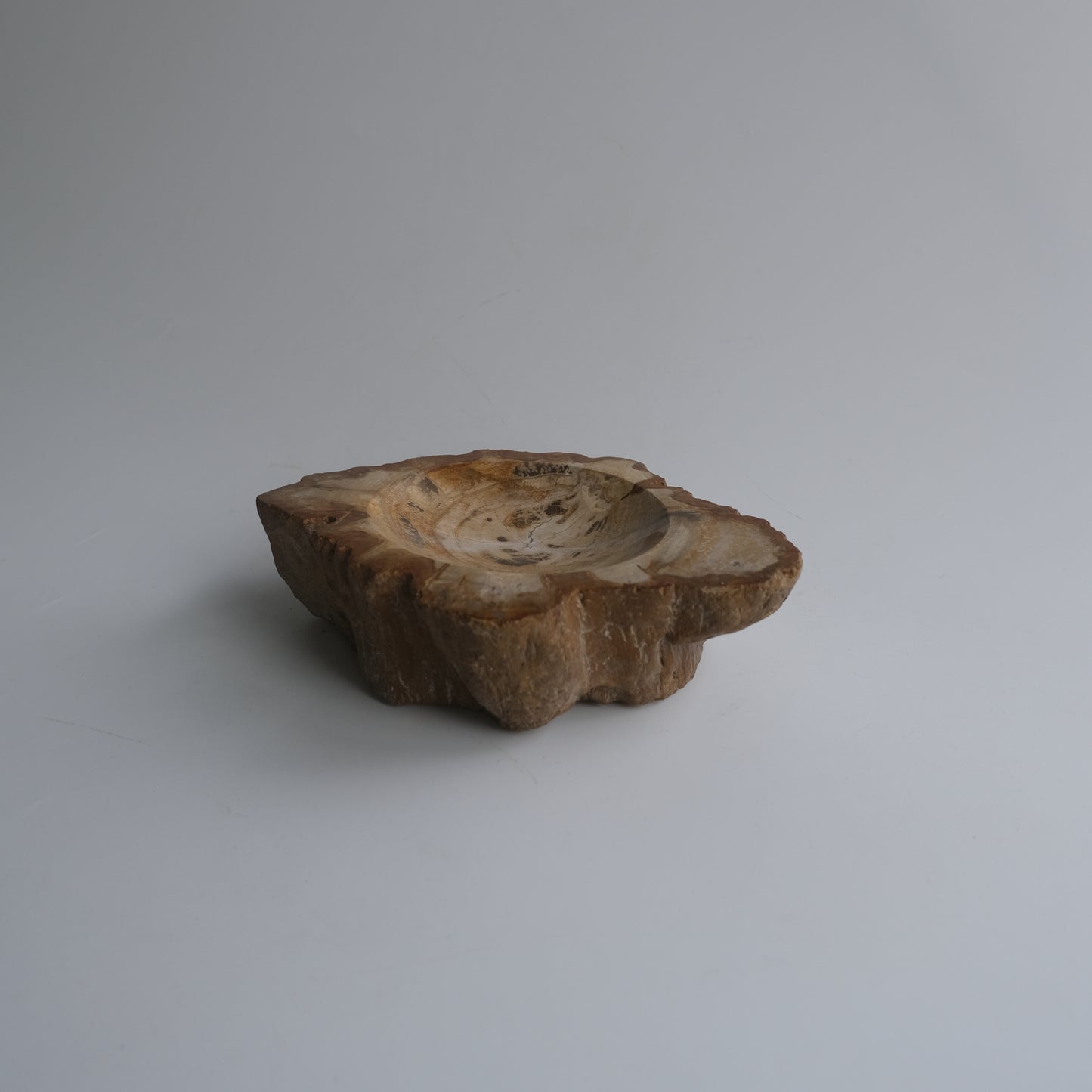Accessory Tray #023