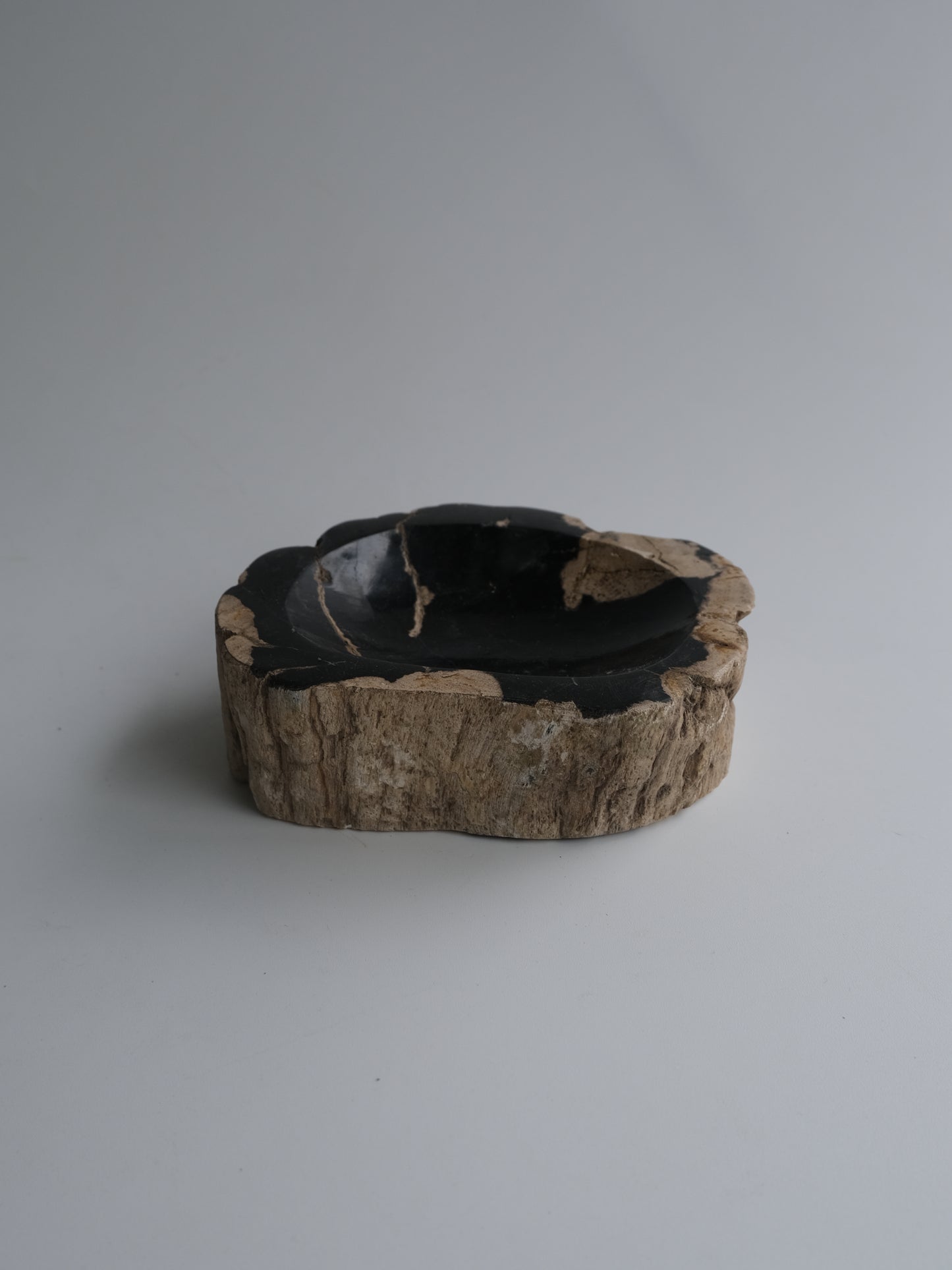 Accessory Tray #032