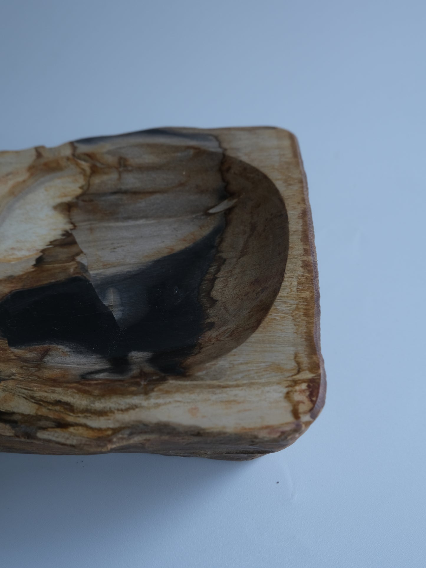 Accessory Tray #014