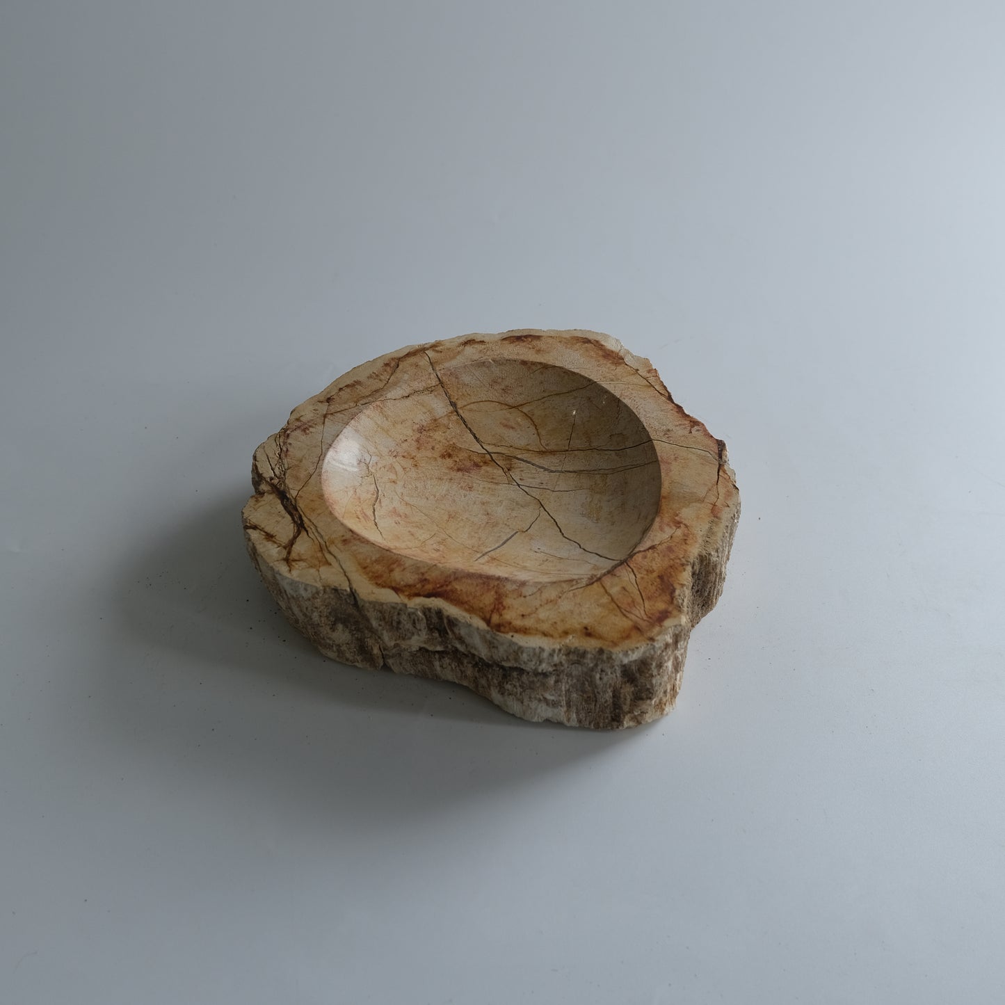Accessory Tray #023