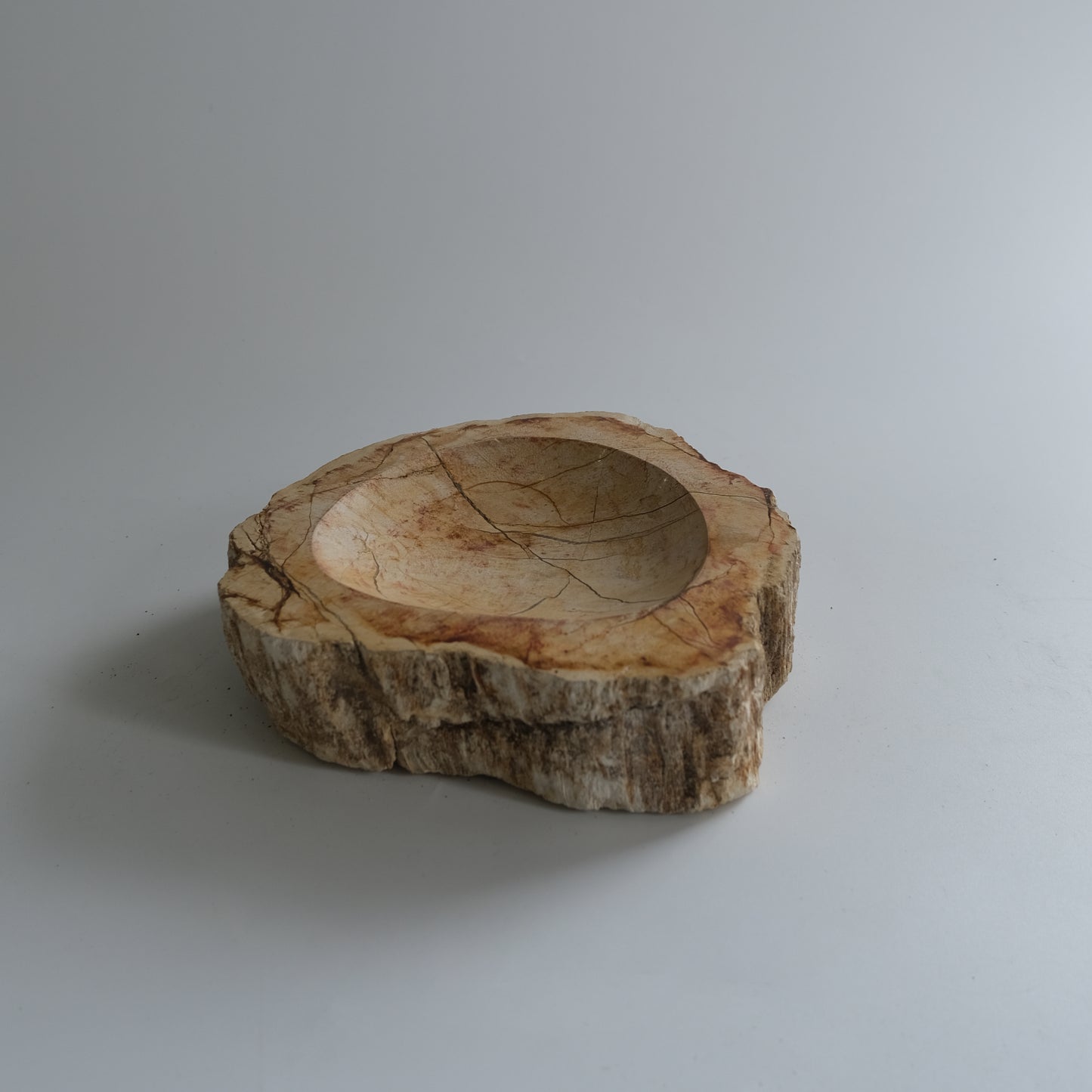 Accessory Tray #023