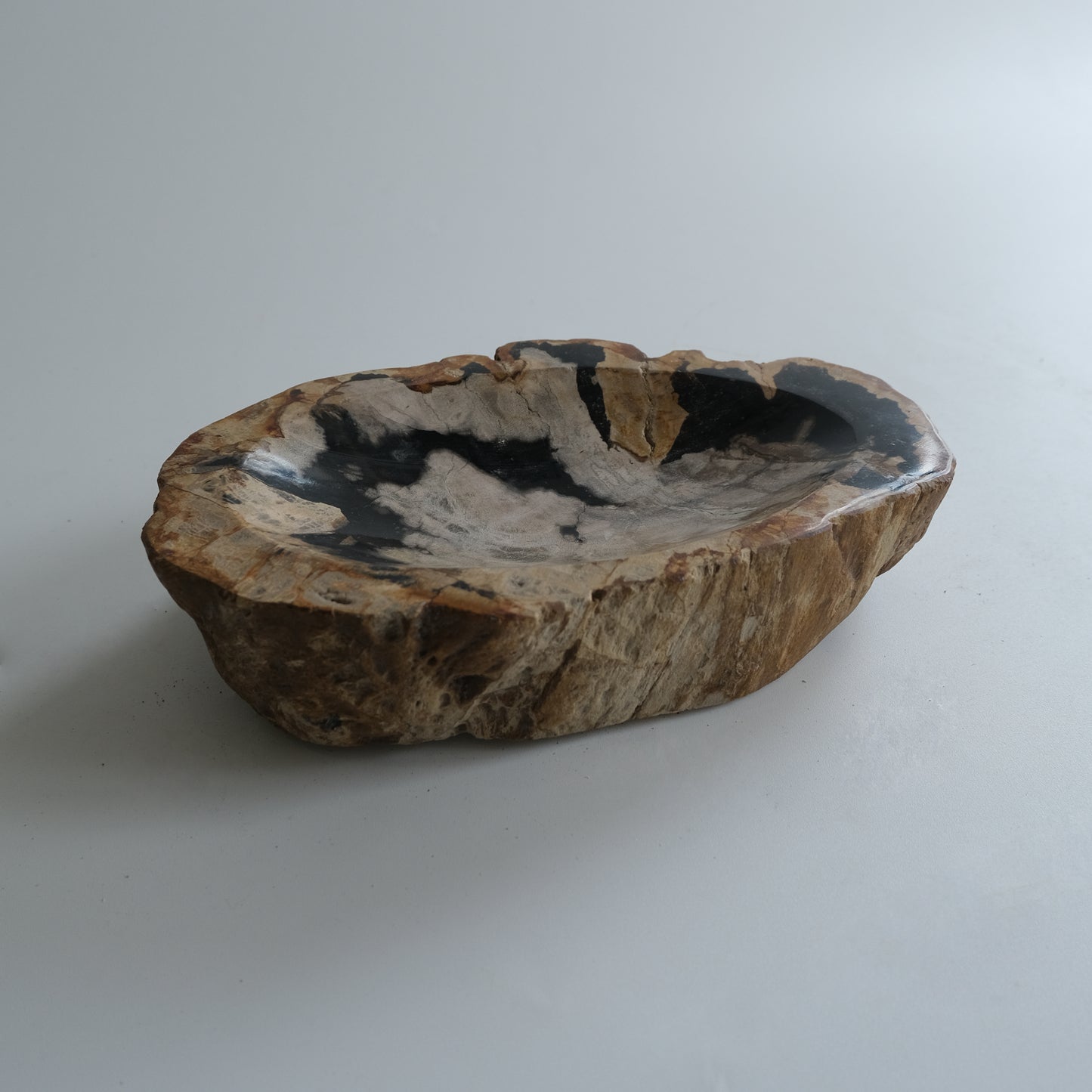 Accessory Tray #009