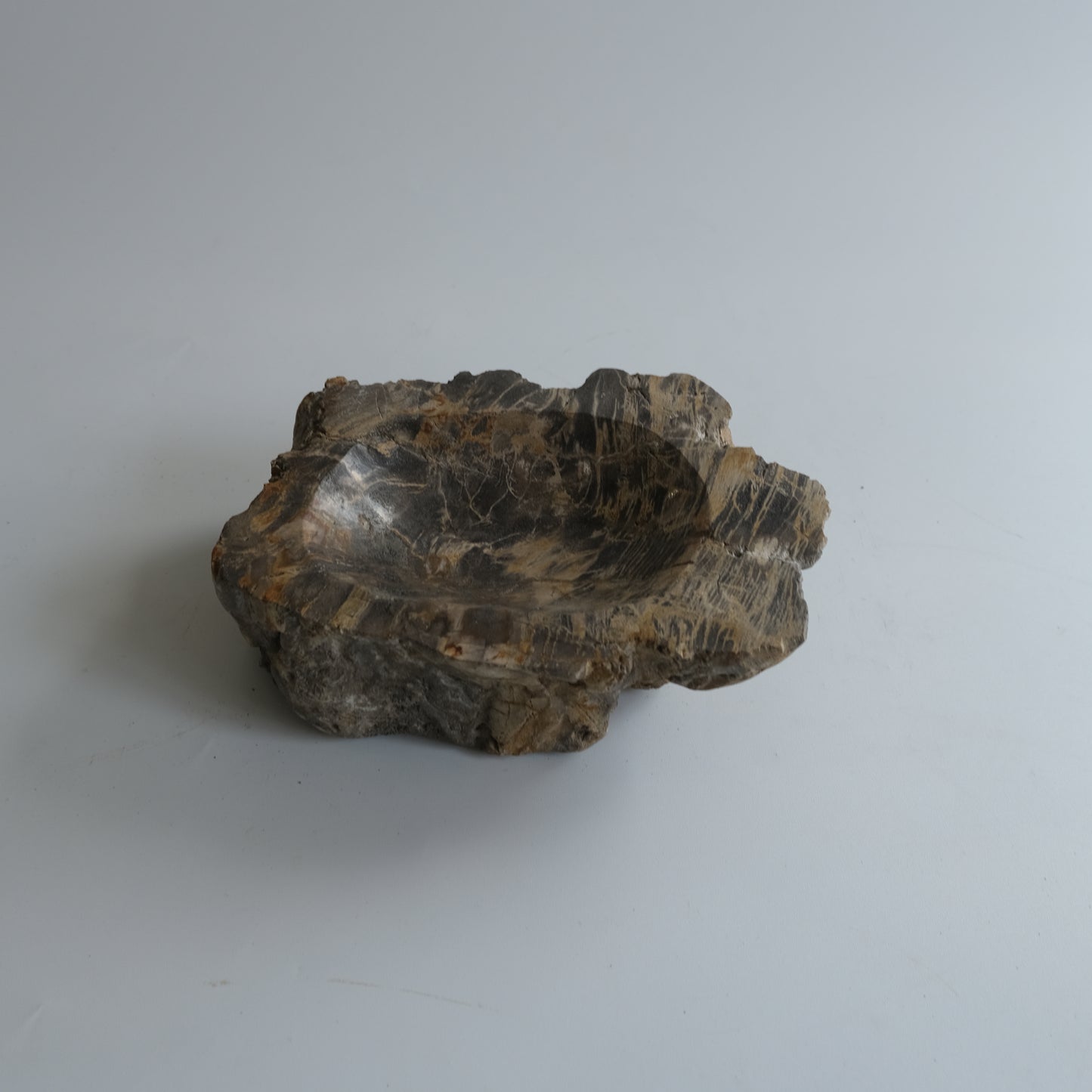 Accessory Tray #004