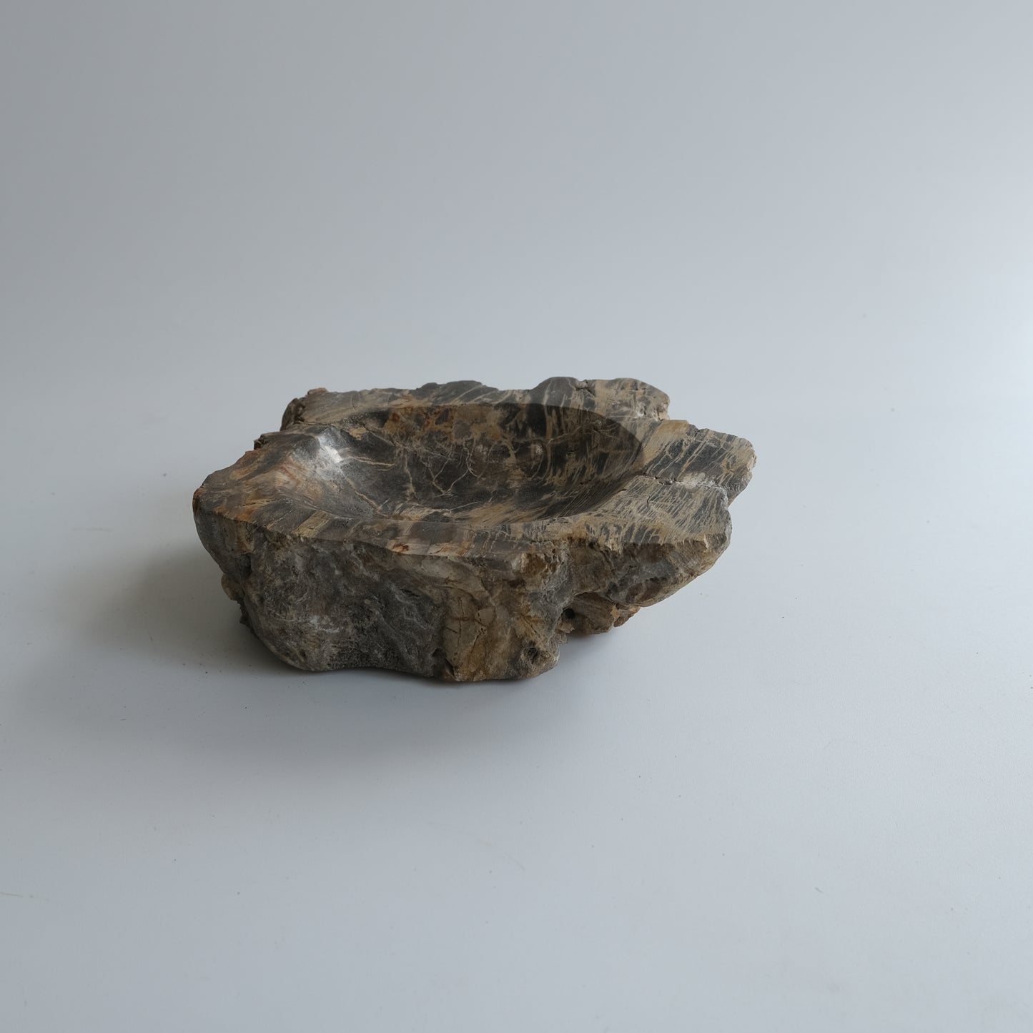 Accessory Tray #004