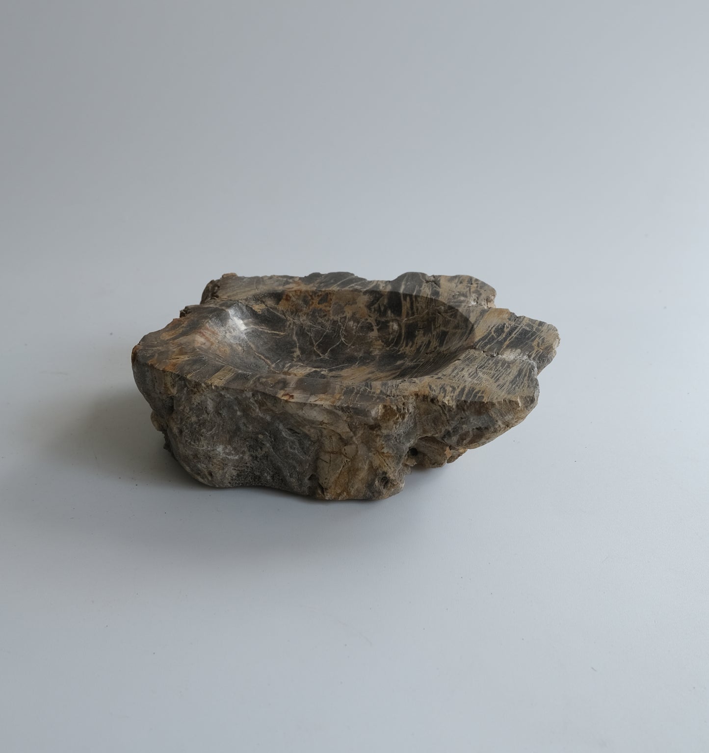 Accessory Tray #004