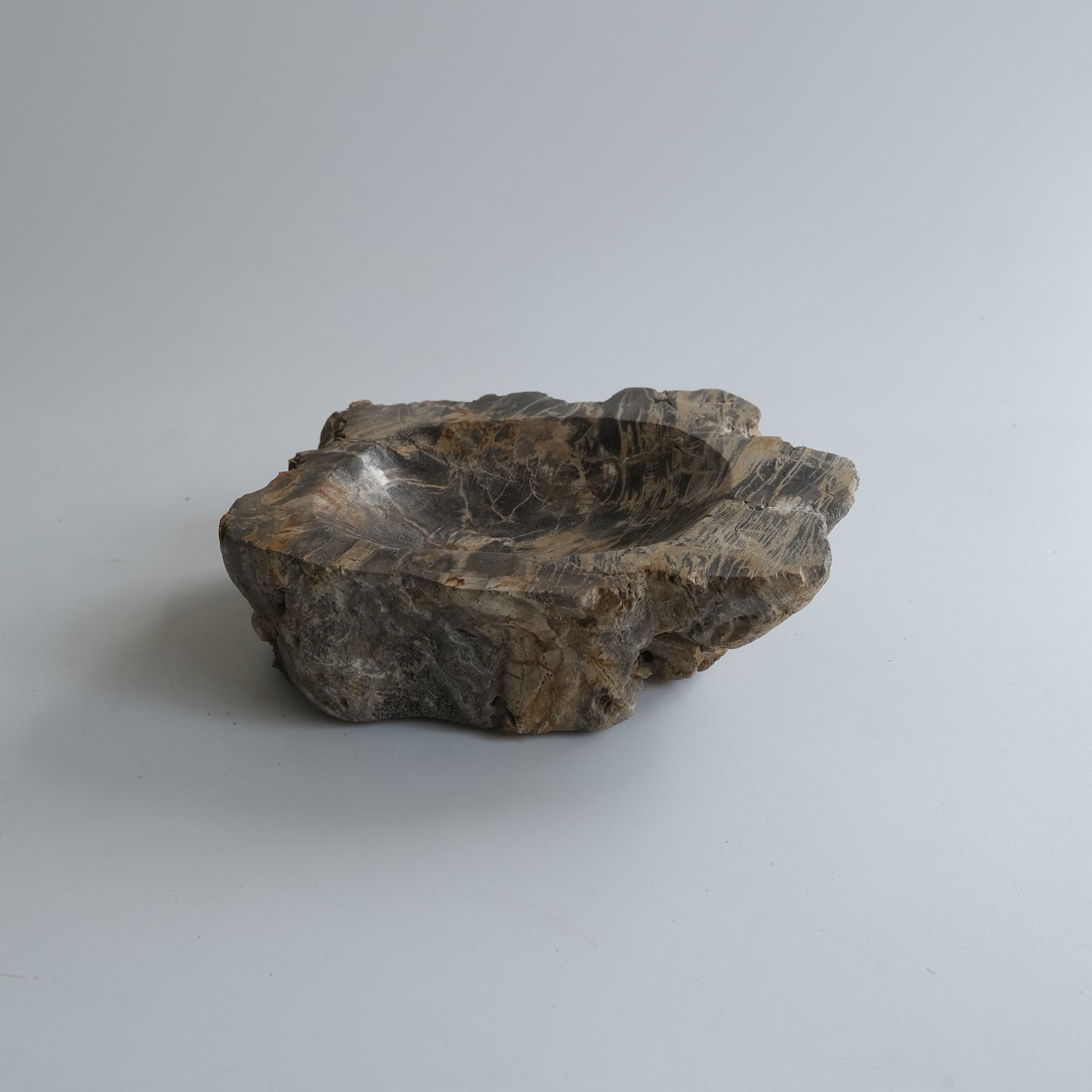 Accessory Tray #004